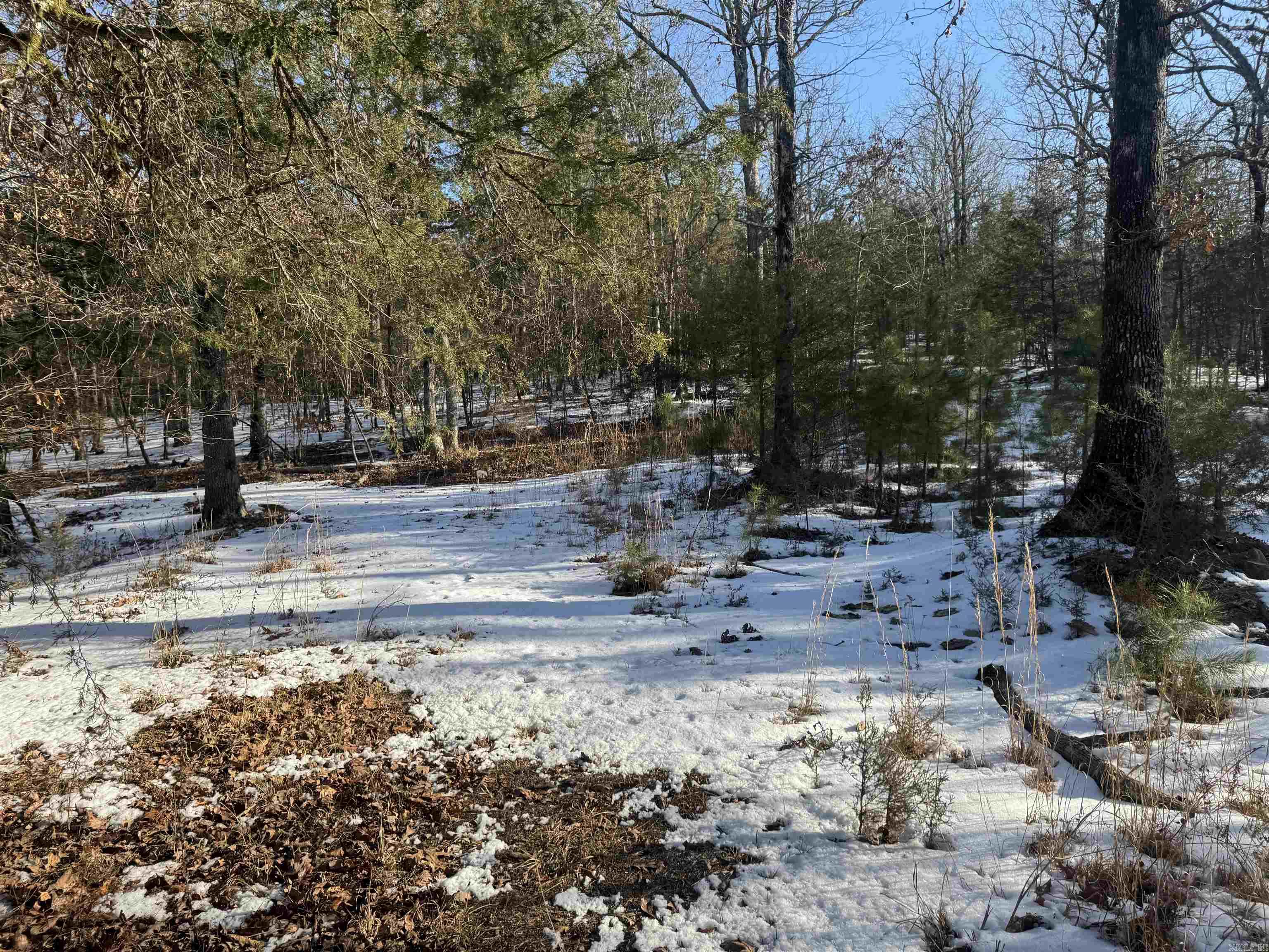 Alder Springs-Rocky - Land