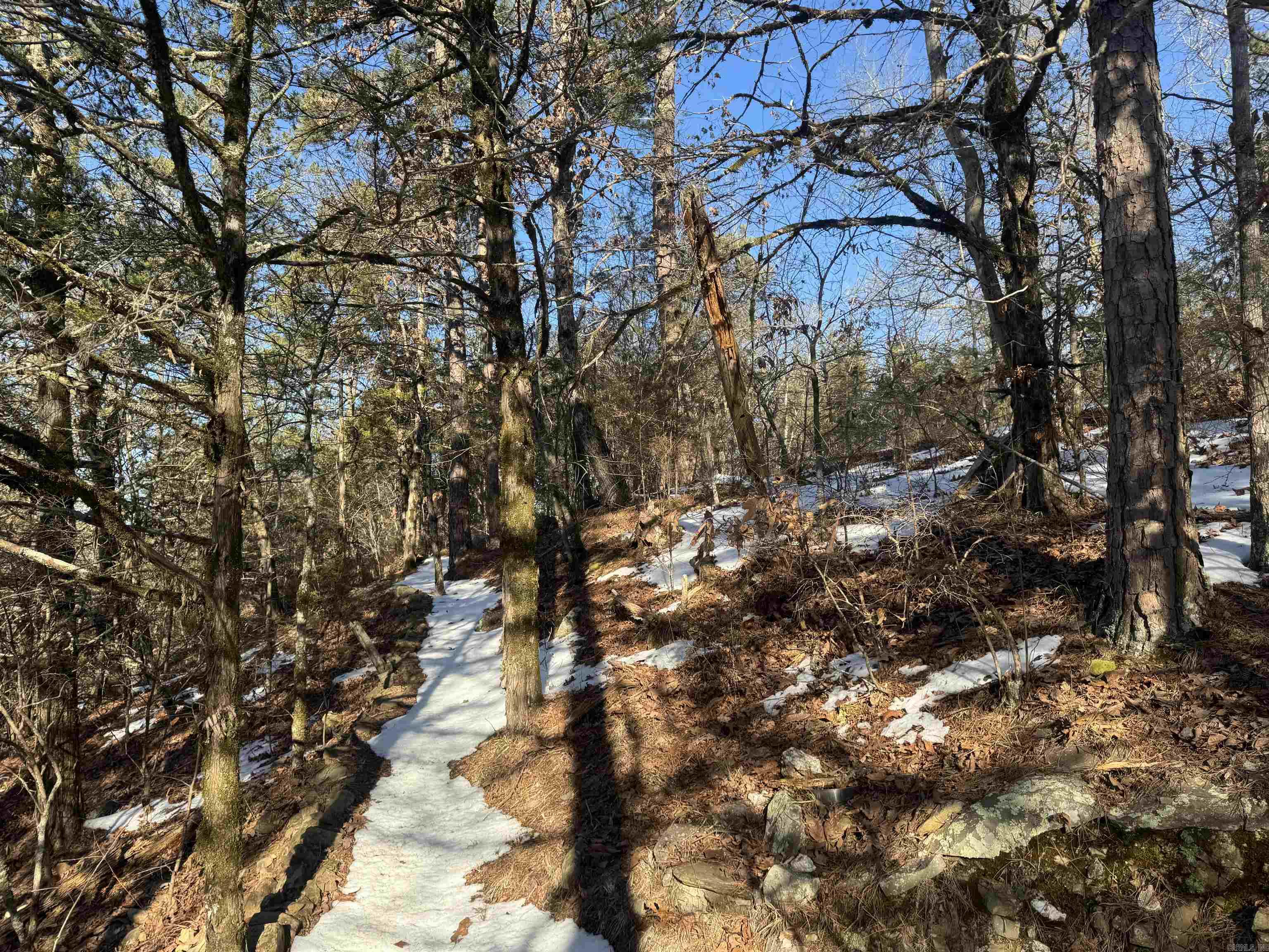 Alder Springs-Rocky - Land