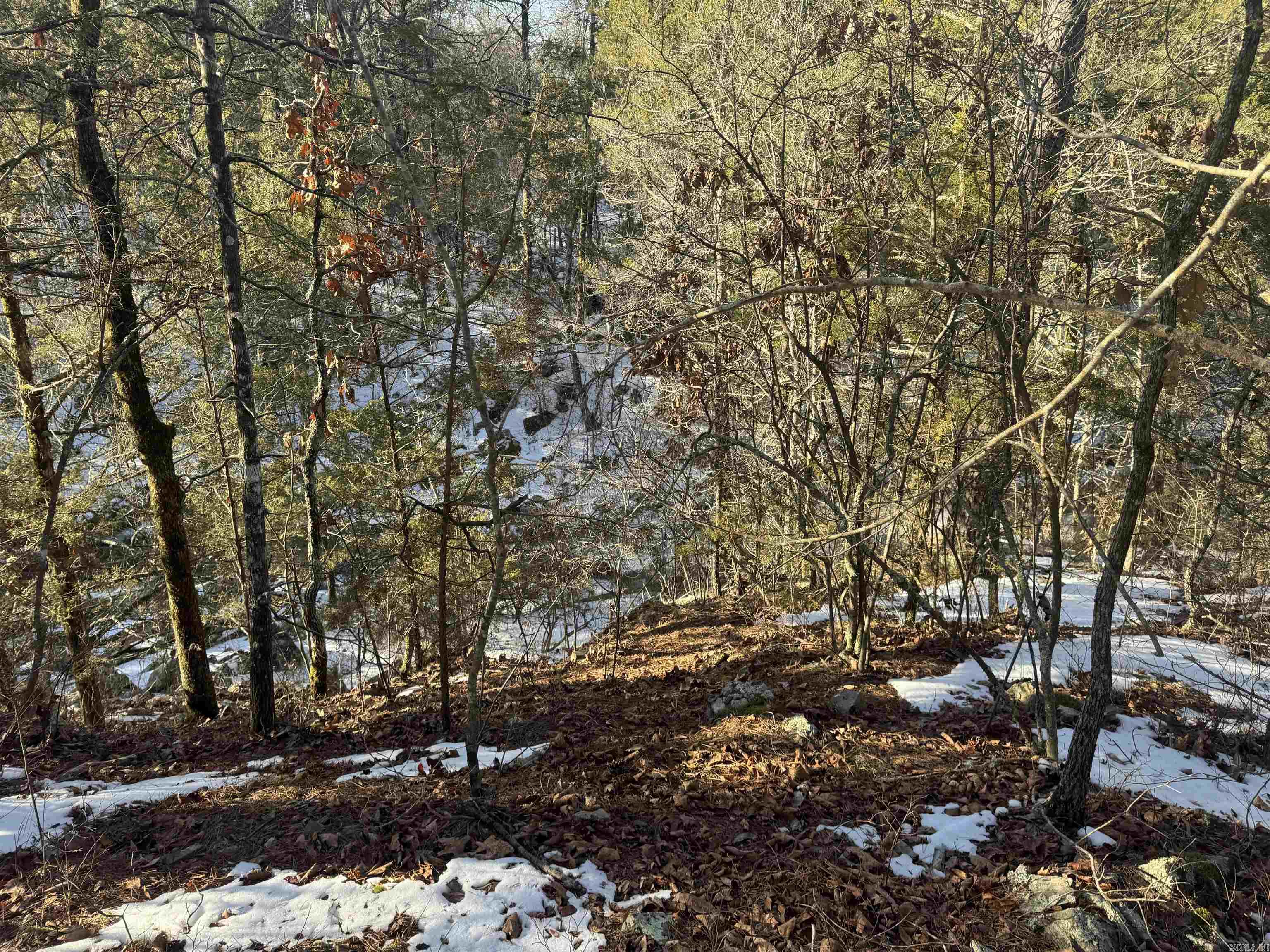 Alder Springs-Rocky - Land