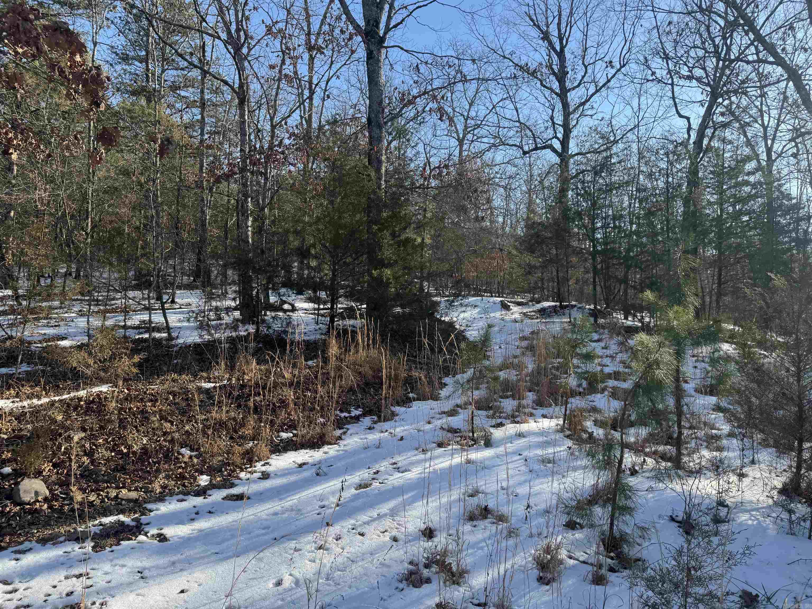 Alder Springs-Rocky - Land