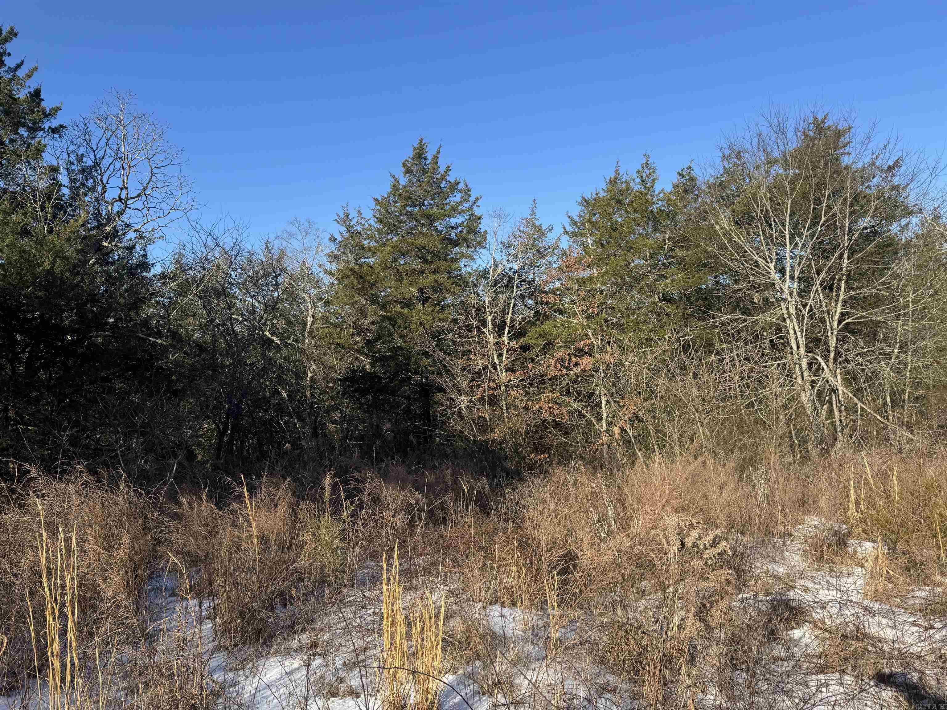 Alder Springs-Rocky - Land