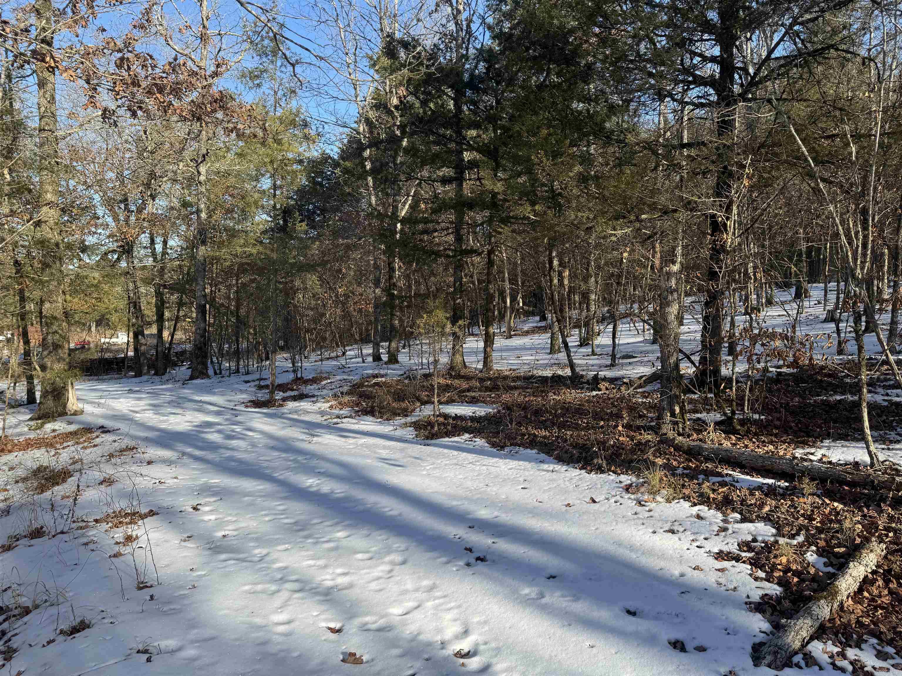 Alder Springs-Rocky - Land