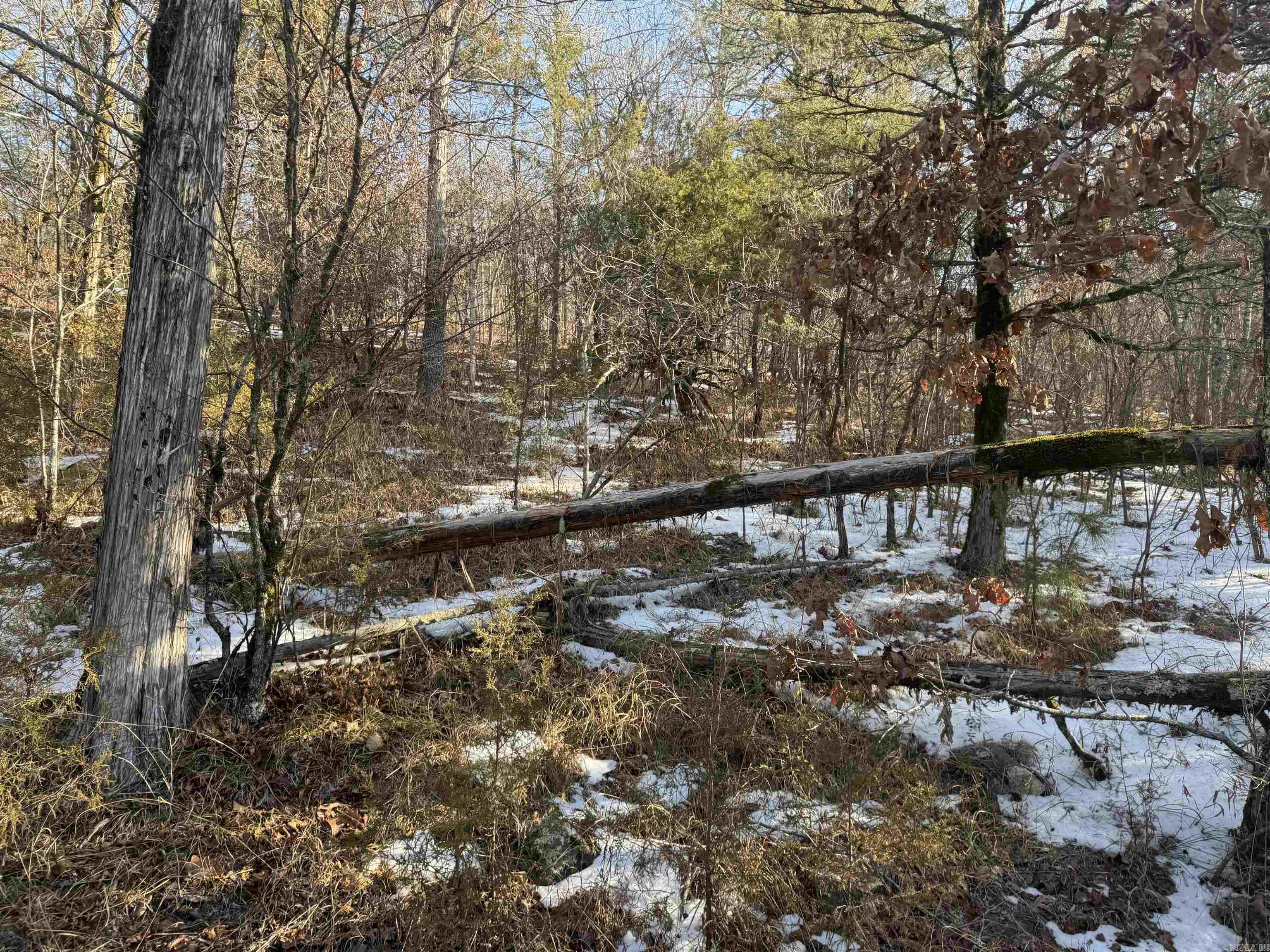 Alder Springs-Rocky - Land
