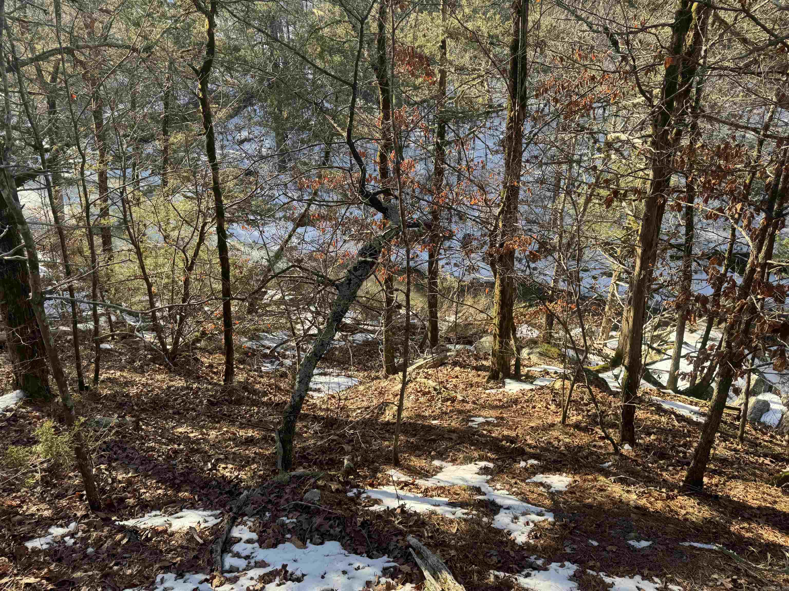 Alder Springs-Rocky - Land