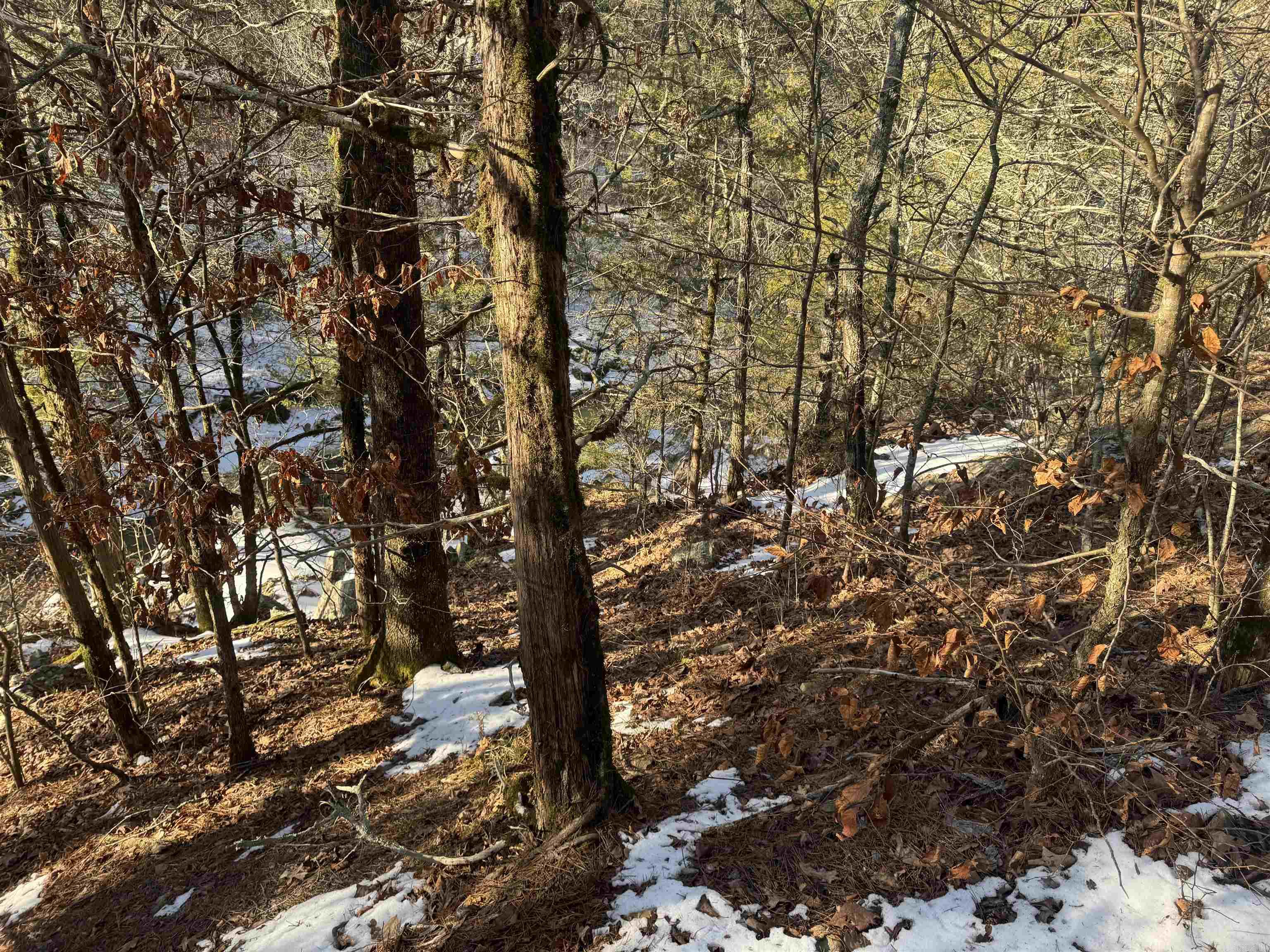 Alder Springs-Rocky - Land