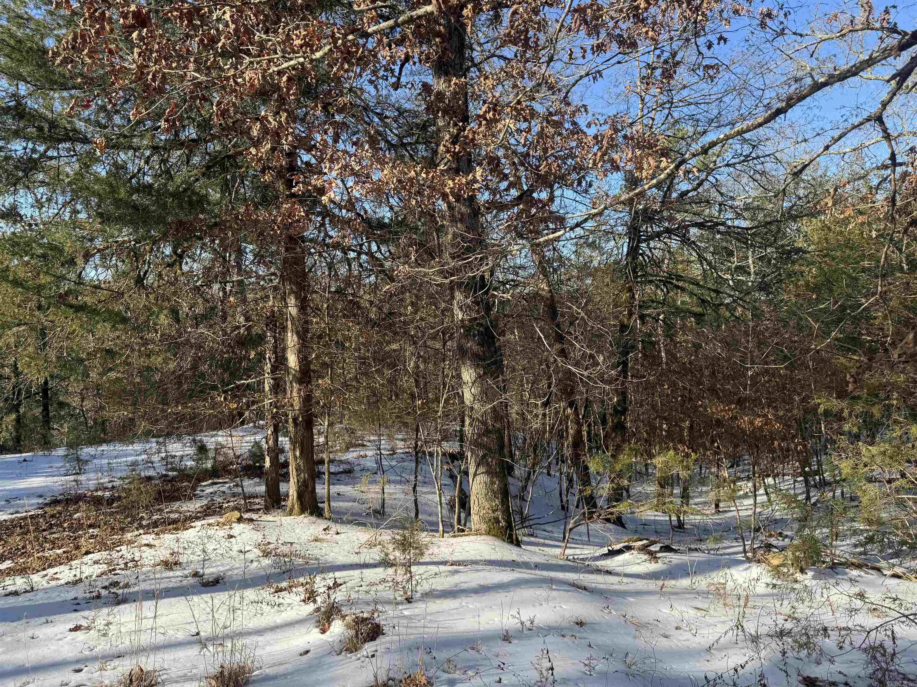 Alder Springs-Rocky - Land