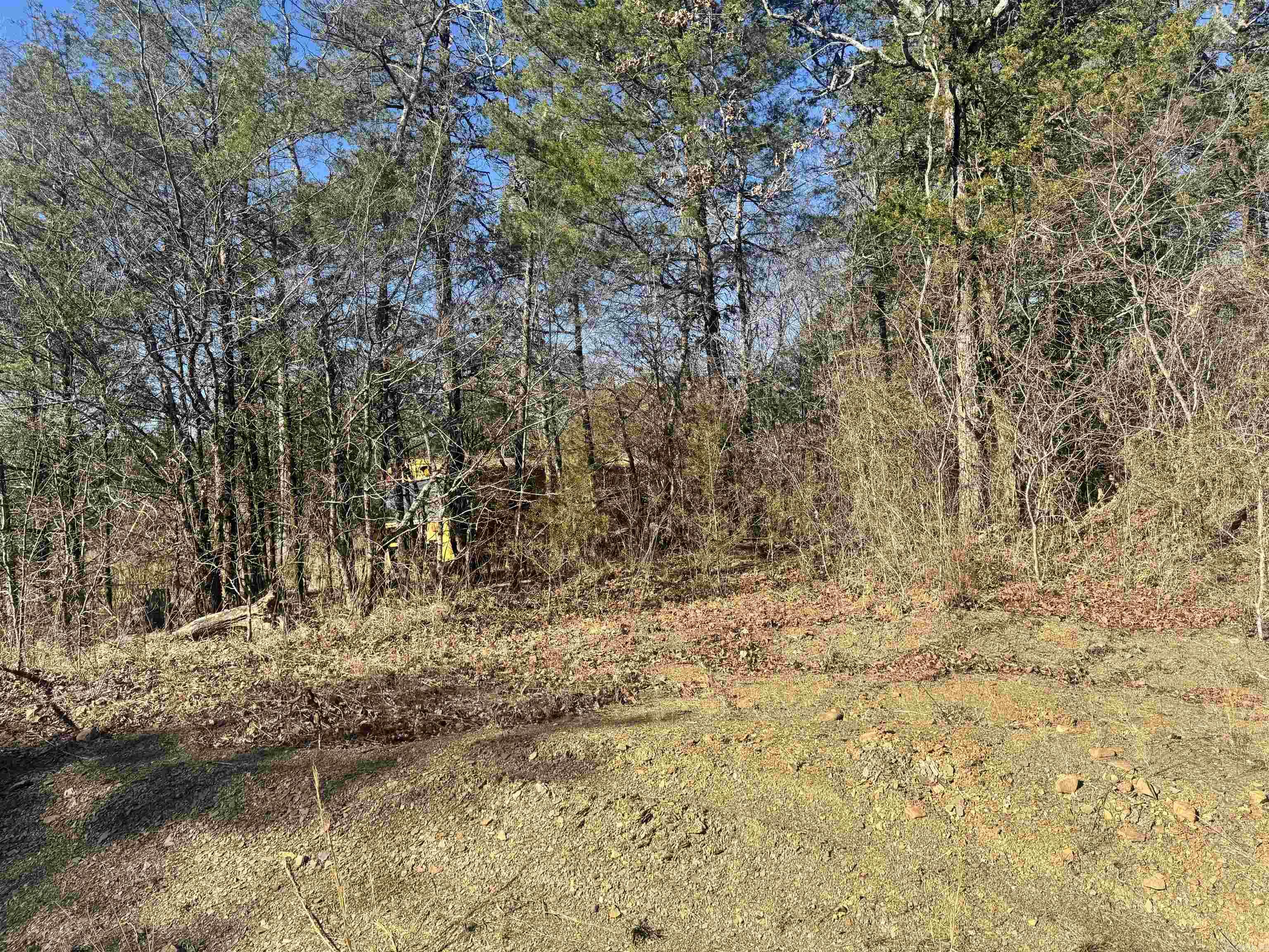 Alder Springs-Rocky - Land