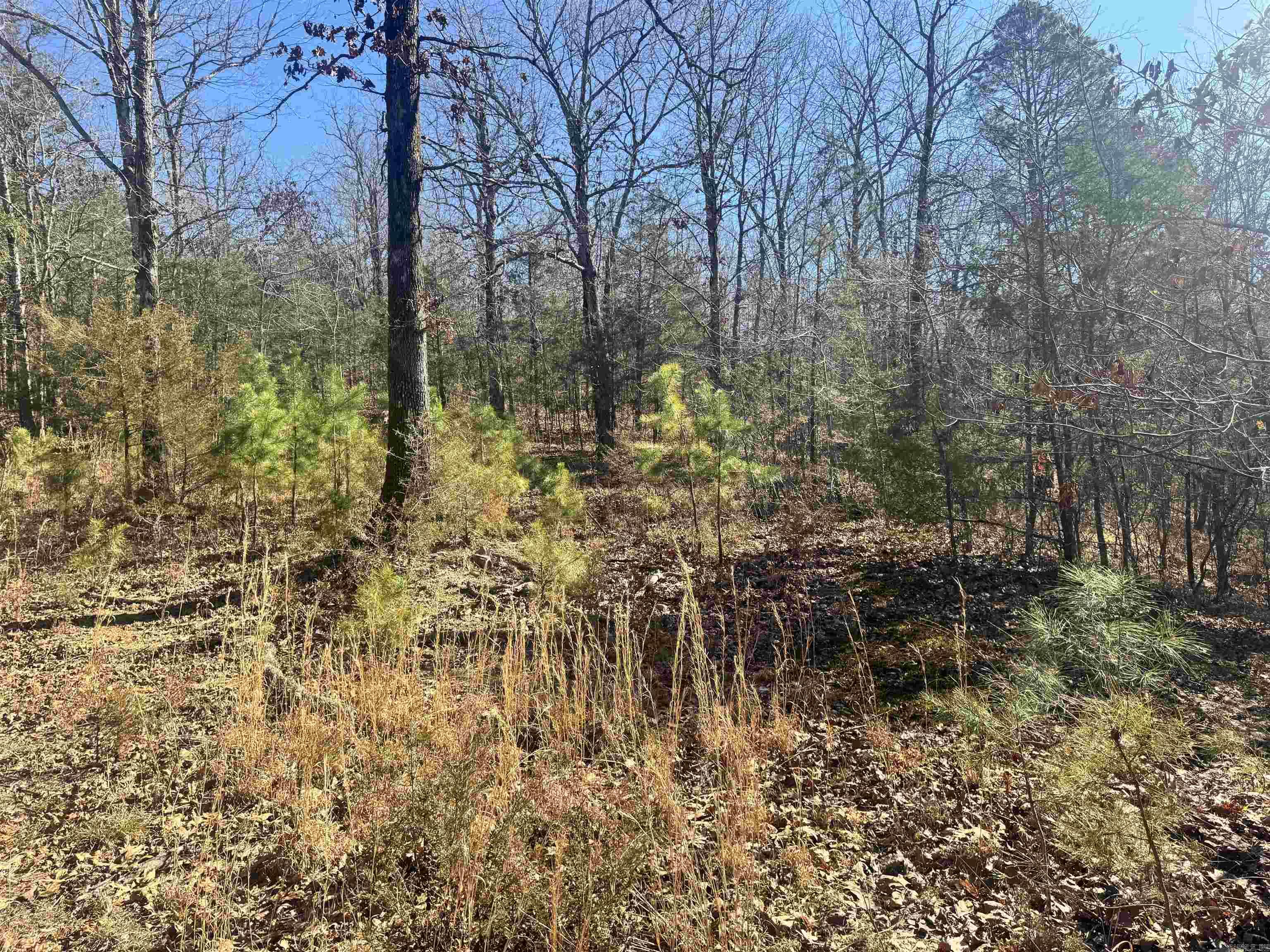 Alder Springs-Rocky - Land