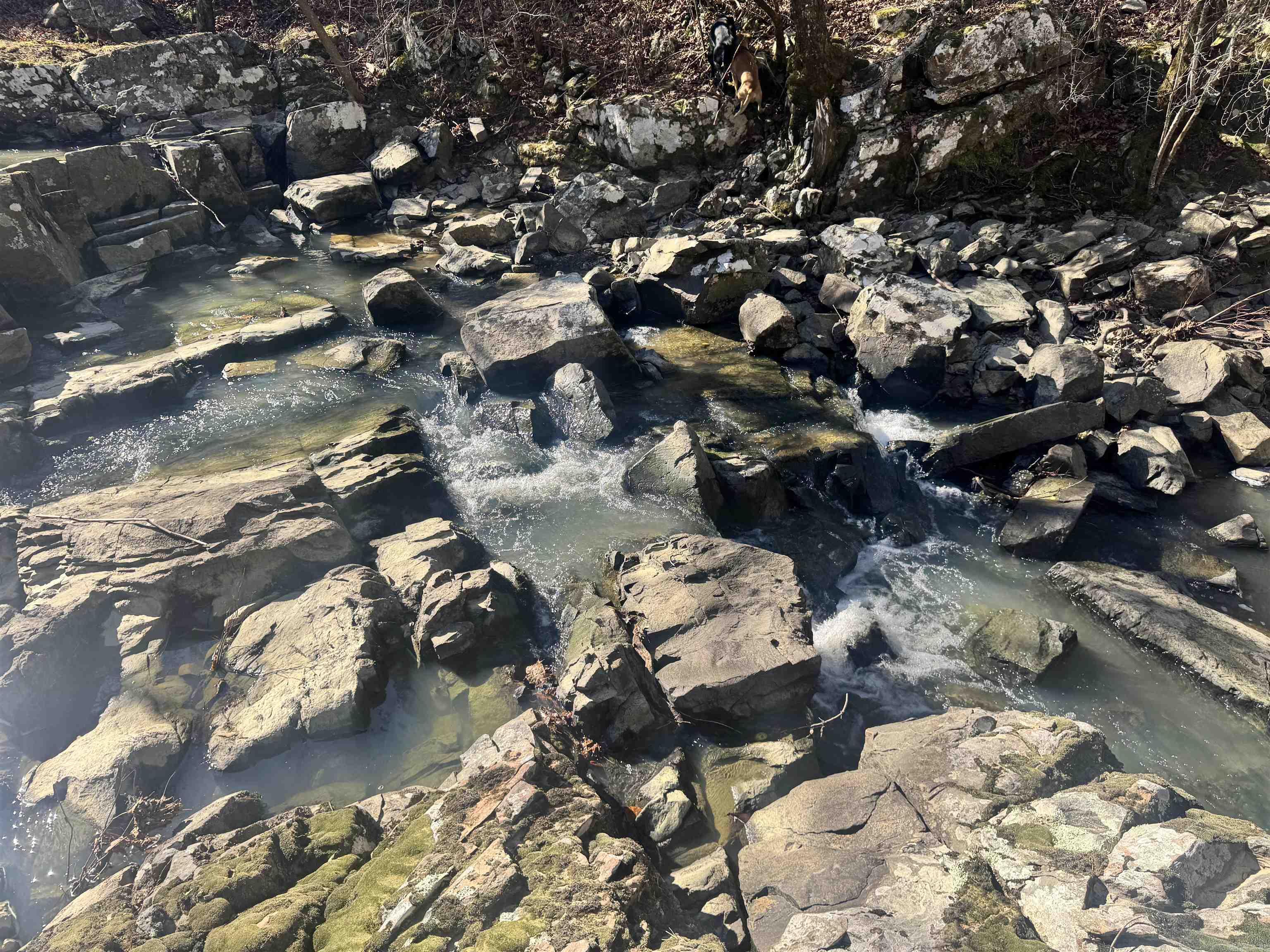 Alder Springs-Rocky - Land