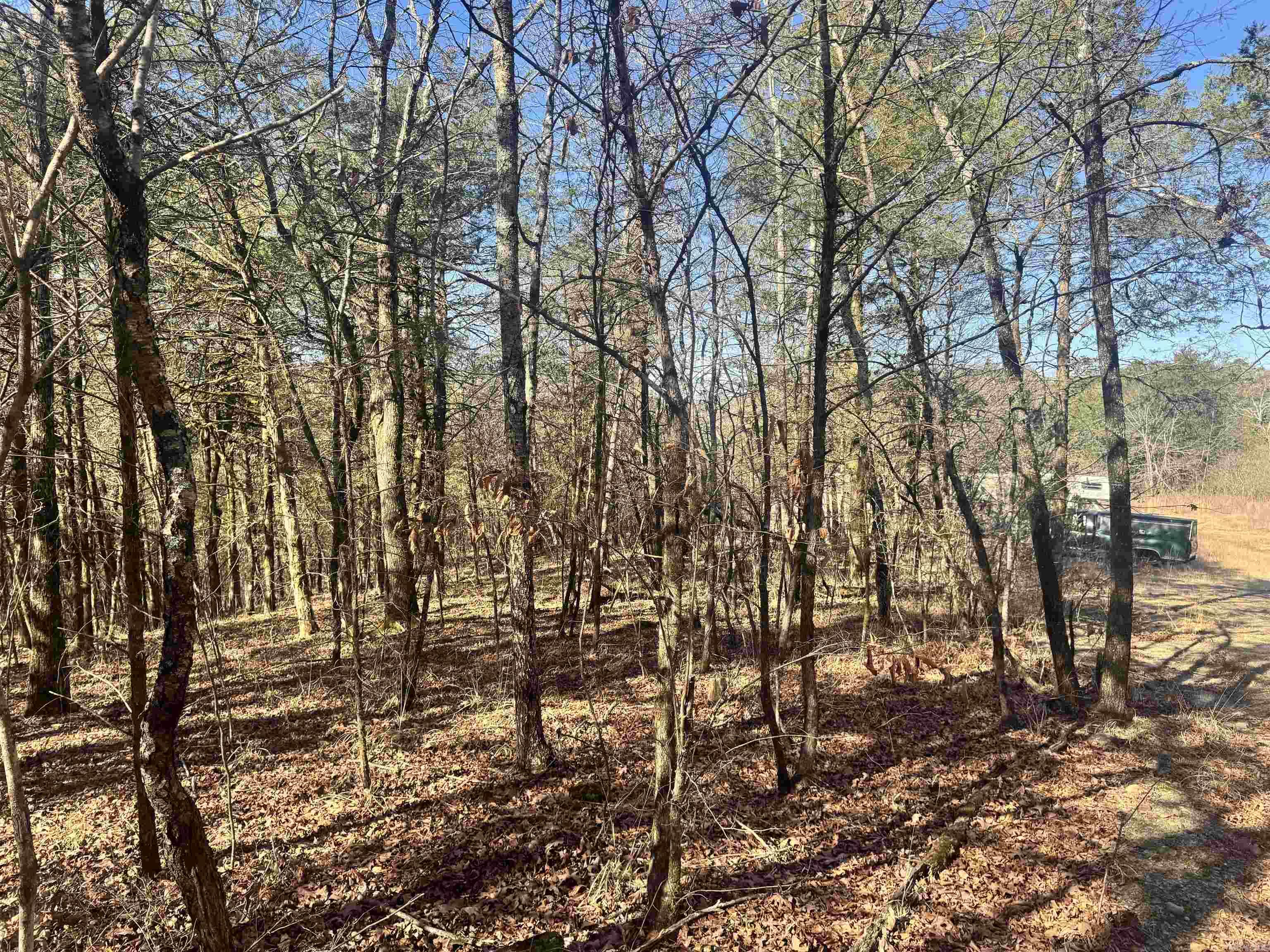 Alder Springs-Rocky - Land