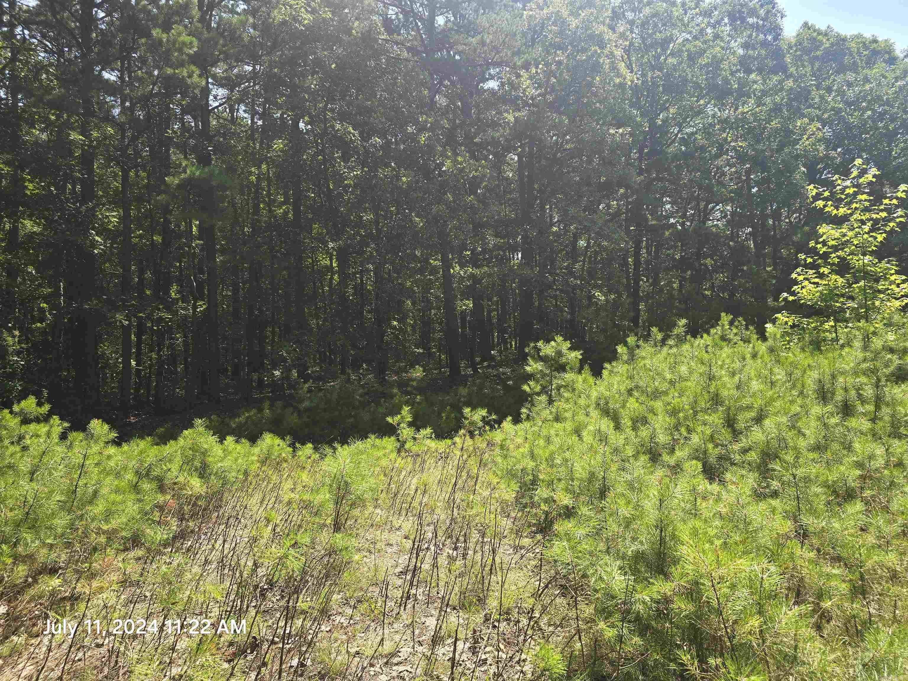 Welcome to market this piece of heaven located in a quiet cul de sac, just off the paces main road with some utilities is this lot. No neighbors to be seen. Build your dream home or invest in a lot here in Fairfield Bay the Ozarks best resort town, come and check out all the local amenities.