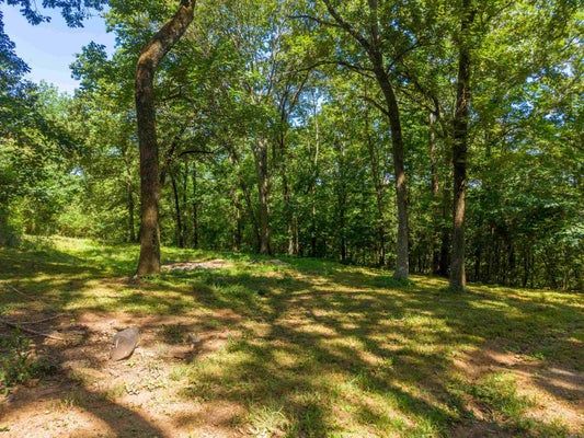 110 HARVER HILLS RD, MALVERN, AR 72104 - Image bedcdfce5eaa288c5e986d45f17829ca/1144069342
