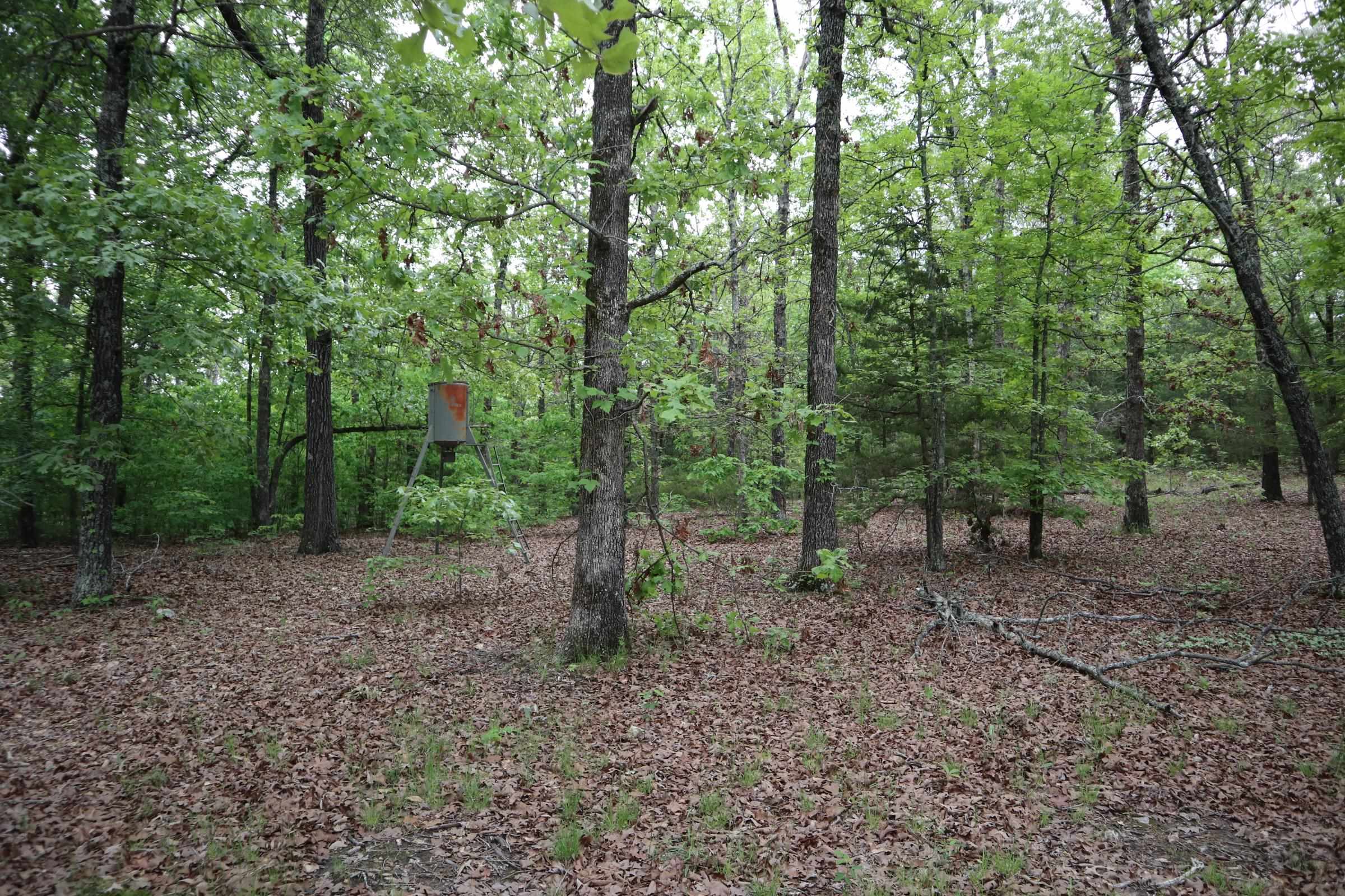 Glenn Forrest 2 - Residential