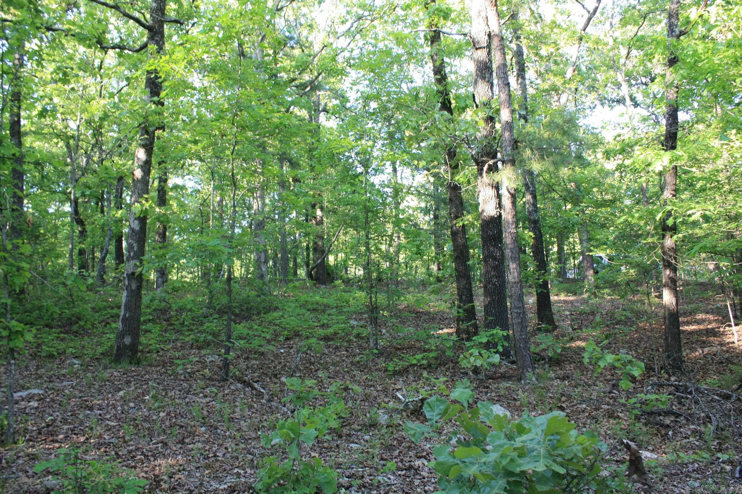 Not in Subdivision - Land