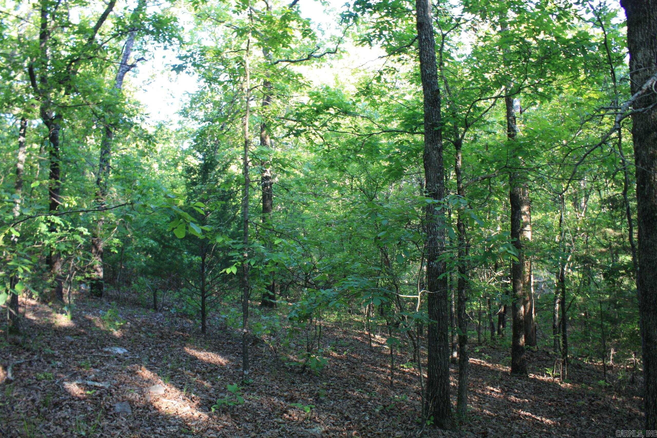 Not in Subdivision - Land