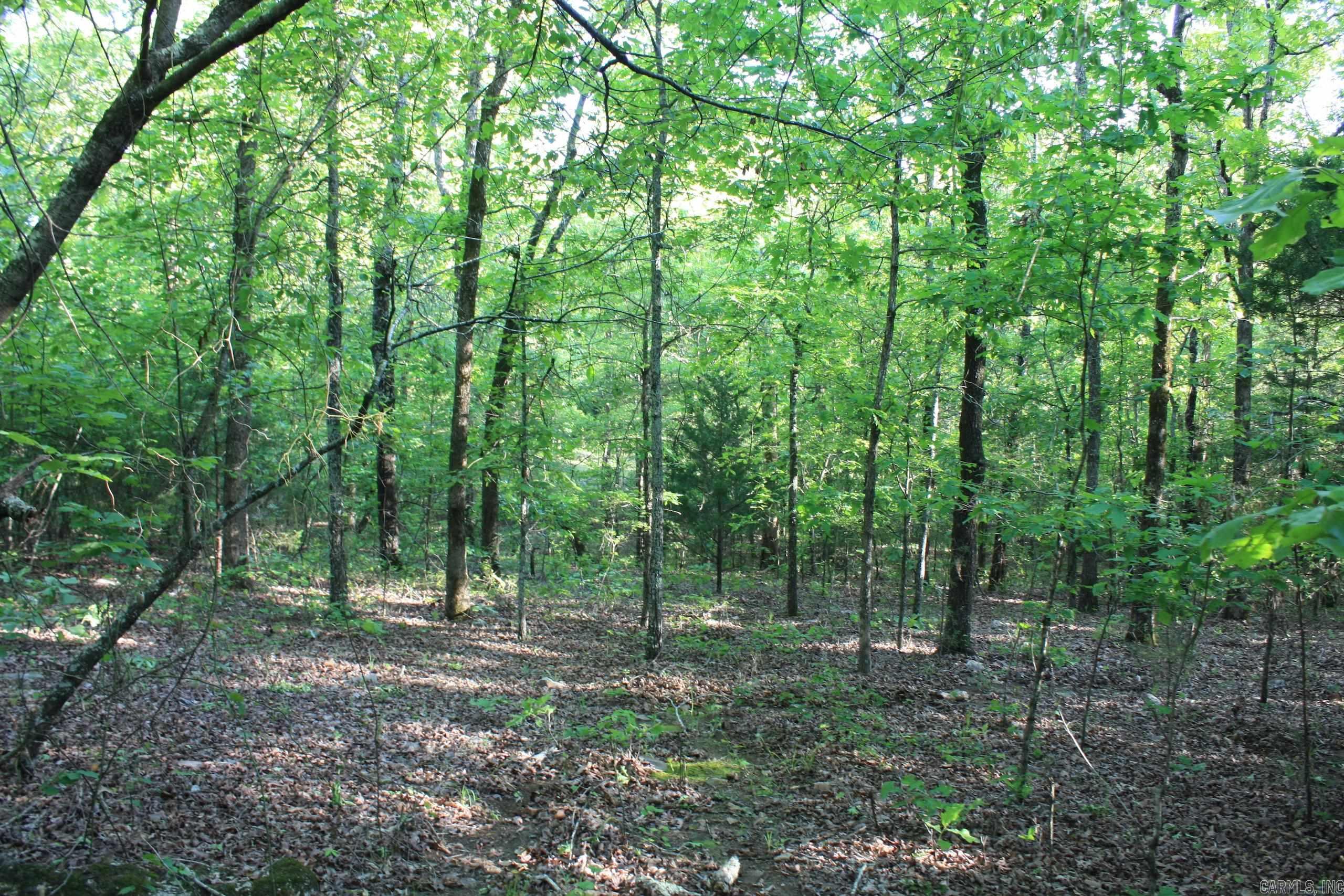 Not in Subdivision - Land