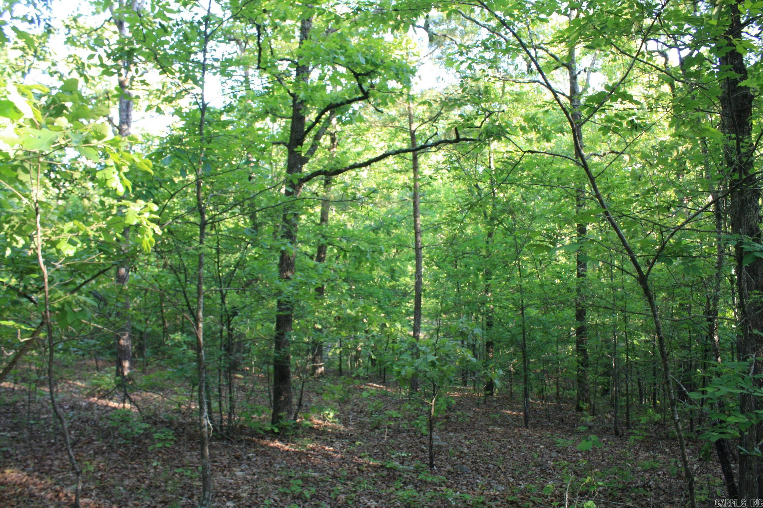 Not in Subdivision - Land