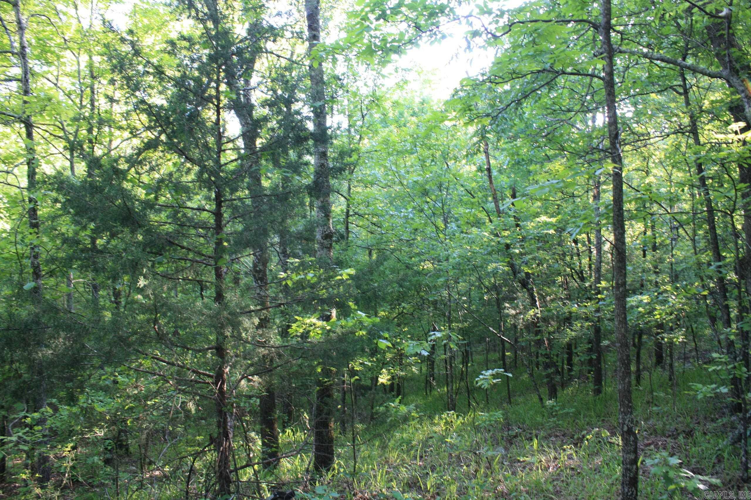 Not in Subdivision - Land