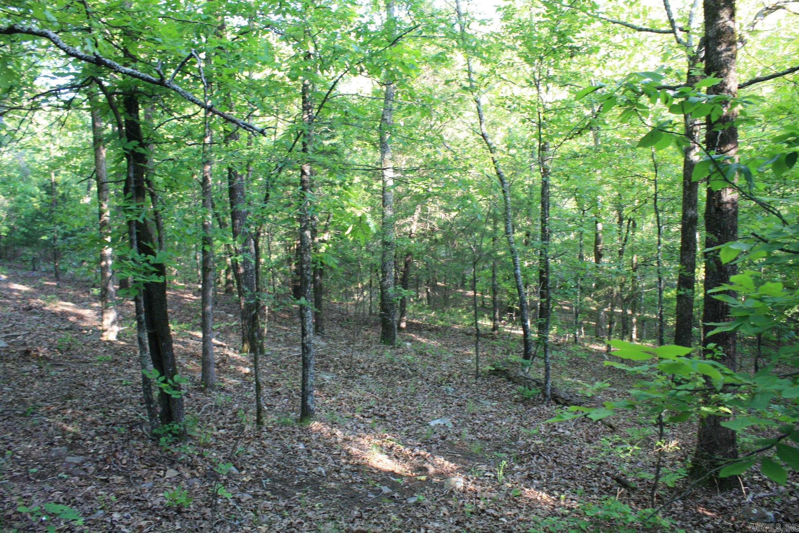 Not in Subdivision - Land