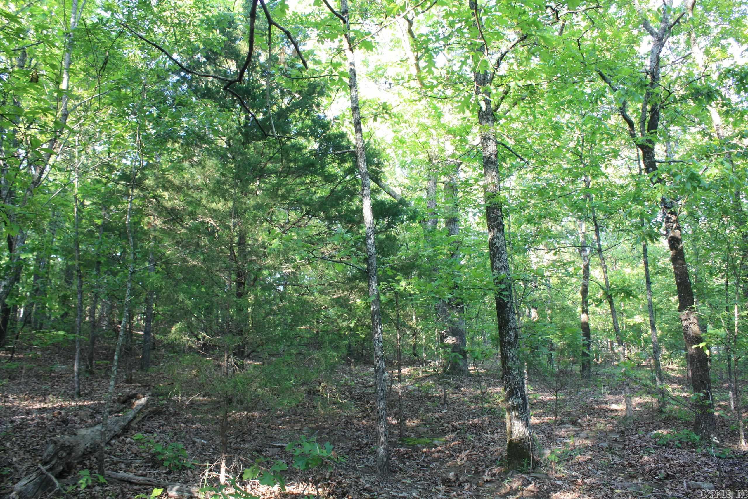 Not in Subdivision - Land