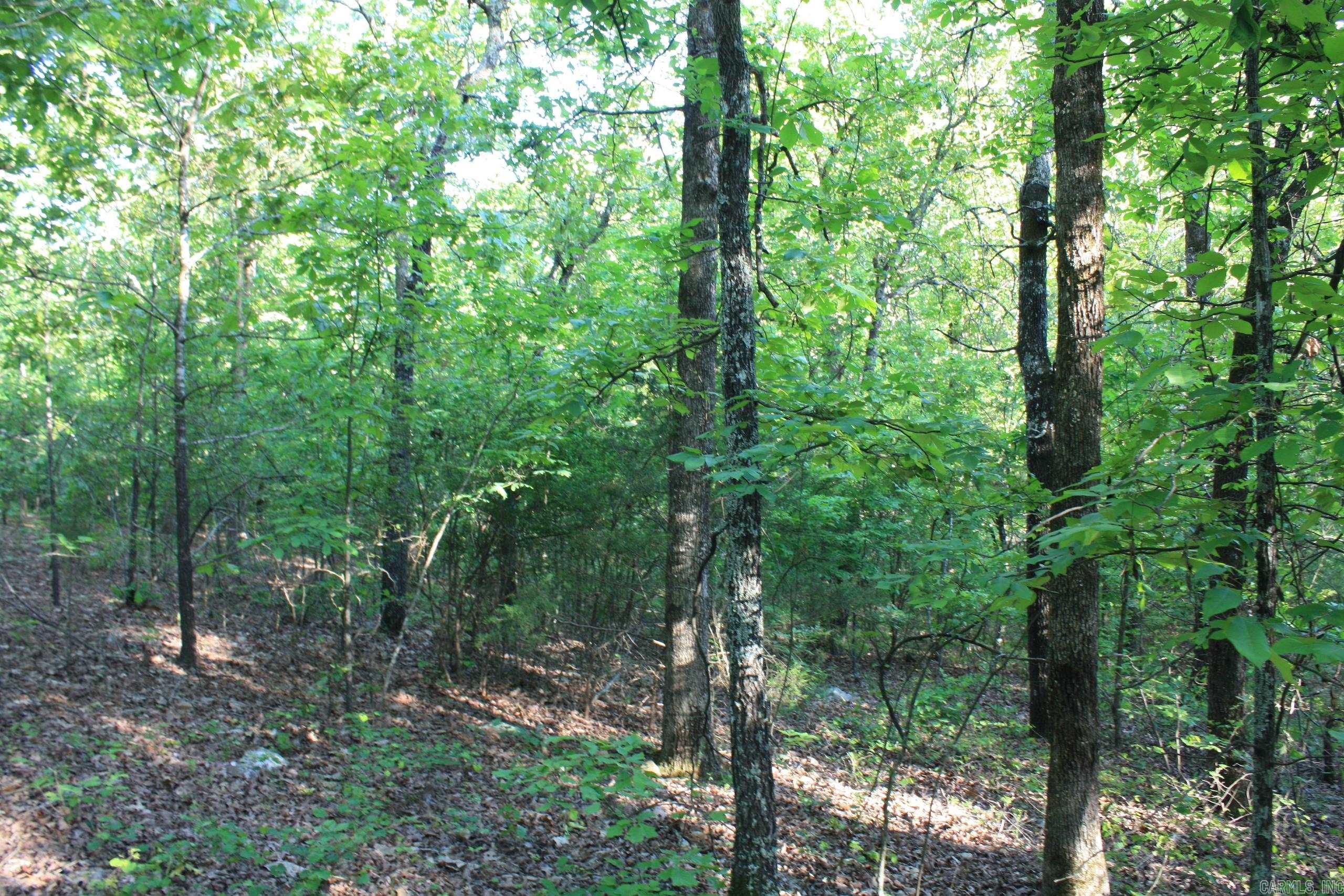 Not in Subdivision - Land