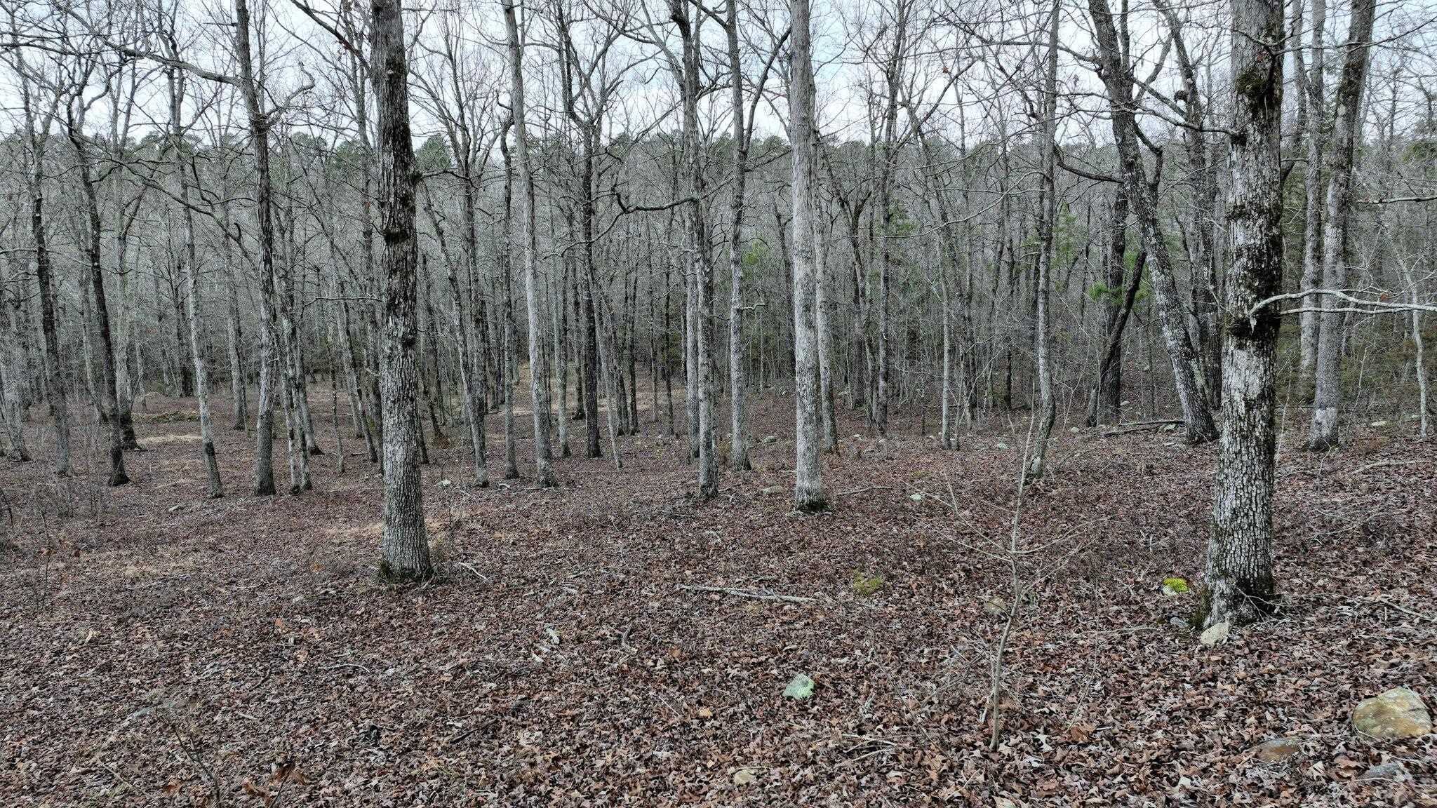 Dogwood Springs - Land