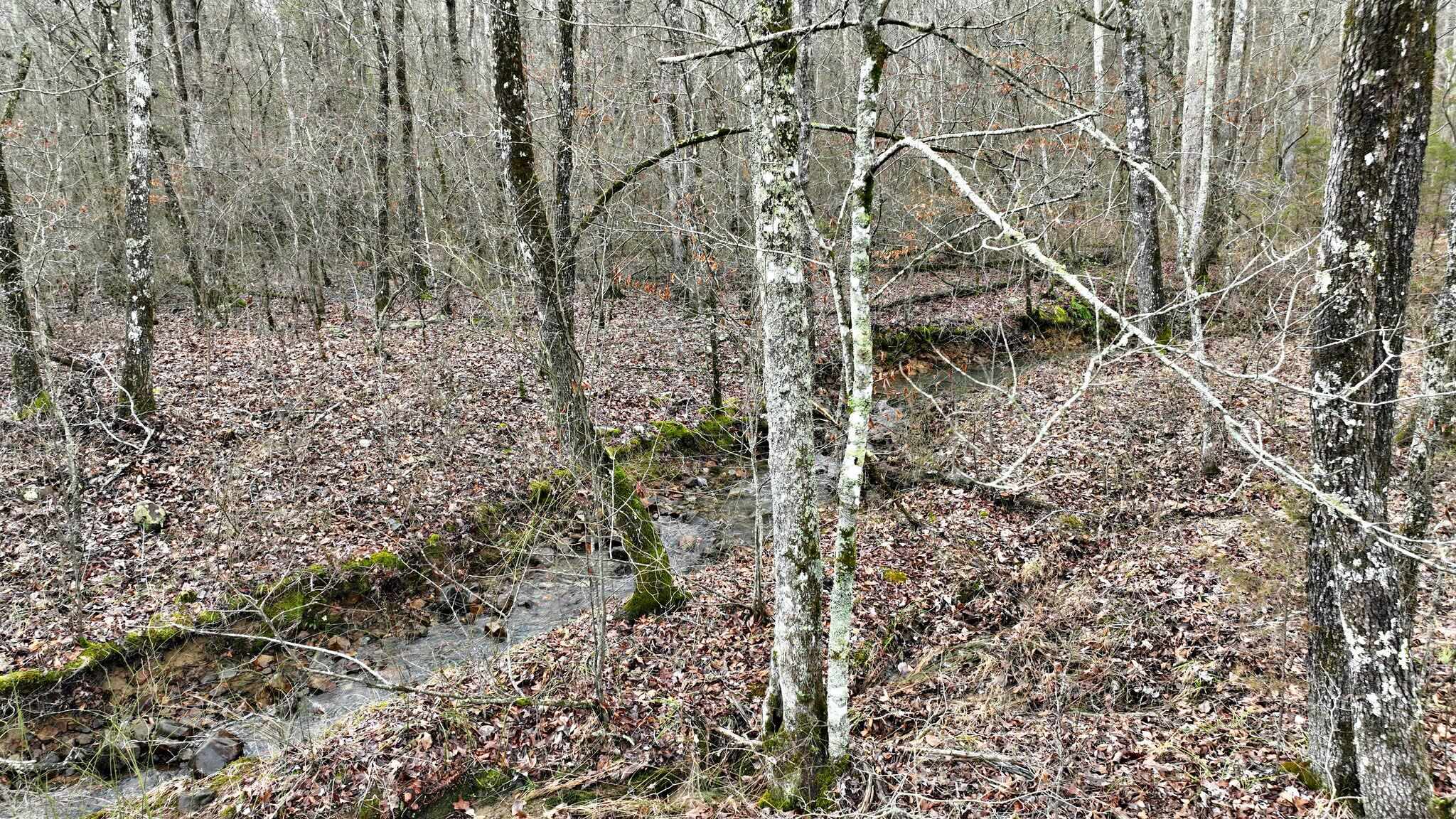 Dogwood Springs - Land