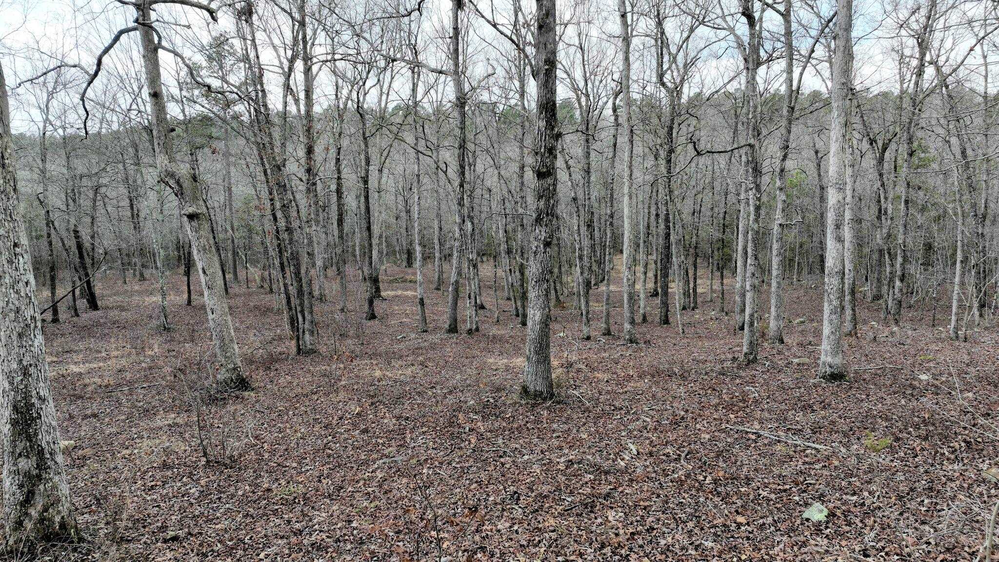 Dogwood Springs - Land