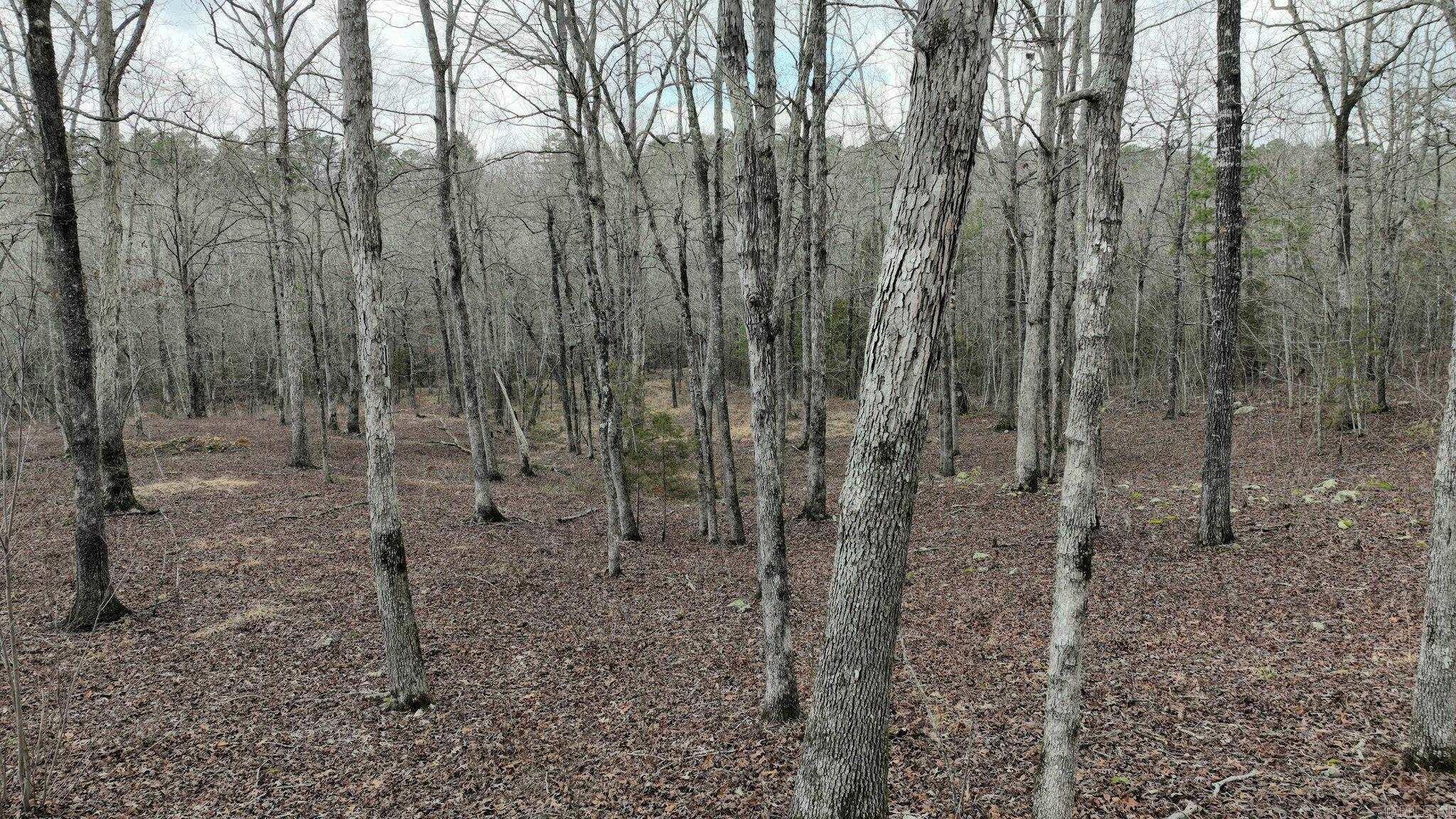 Wooded Retreat with Creek ā Easy Access to Town! Discover the perfect balance of privacy and convenience with this stunning 5.14-acre lot! Nestled in a peaceful rural subdivision, this property offers a secluded, wooded setting while still adjoining a paved lane off Hwy 71 for quick trips to town. Land has had underbrush mulched, enhancing the beauty of the mature trees and creating a nice homesite. A charming small creek and natural spring flow most of the year, adding to the property's tranquil appeal. Rural water and electric are available at the road, making it ready to build your dream home. Light building restrictions preserve the area's characterāno mobile homes allowed. Whether you're looking for a quiet getaway or a permanent country retreat, this property is a must-see!