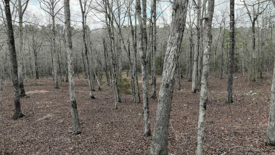 Wooded Retreat with Creek – Easy Access to Town! Discover the perfect balance of privacy and convenience with this stunning 5.14-acre lot! Nestled in a peaceful rural subdivision, this property offers a secluded, wooded setting while still adjoining a paved lane off Hwy 71 for quick trips to town. Land has had underbrush mulched, enhancing the beauty of the mature trees and creating a nice homesite. A charming small creek and natural spring flow most of the year, adding to the property's tranquil appeal. Rural water and electric are available at the road, making it ready to build your dream home. Light building restrictions preserve the area's character—no mobile homes allowed. Whether you're looking for a quiet getaway or a permanent country retreat, this property is a must-see!