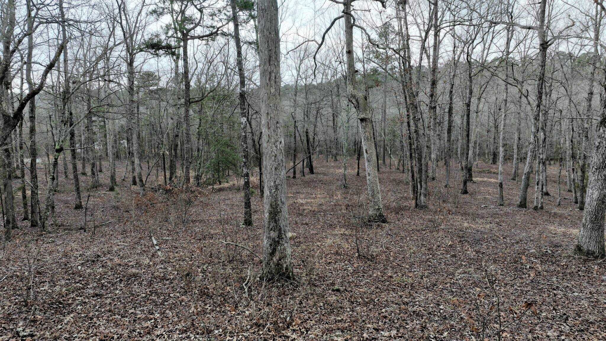 Dogwood Springs - Land