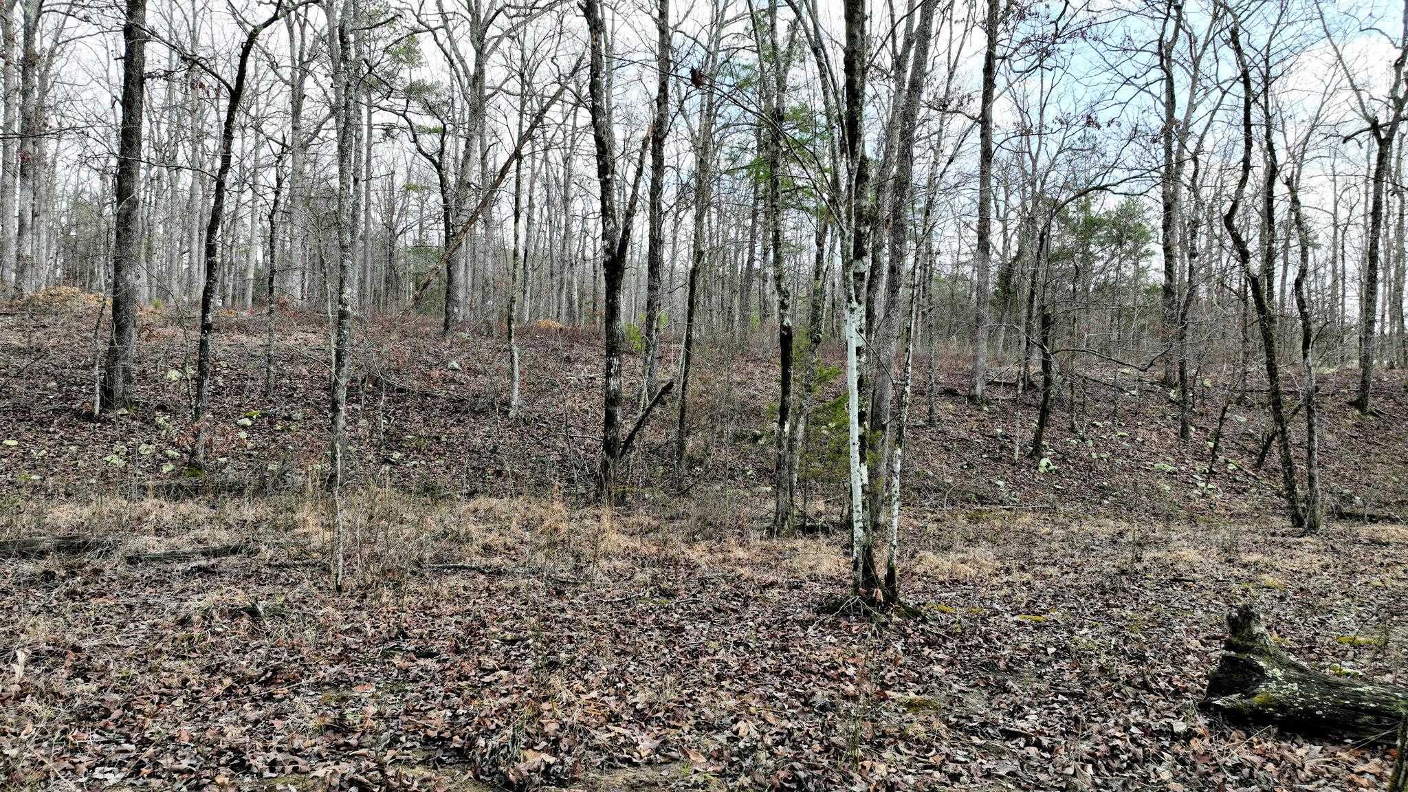 Dogwood Springs - Land