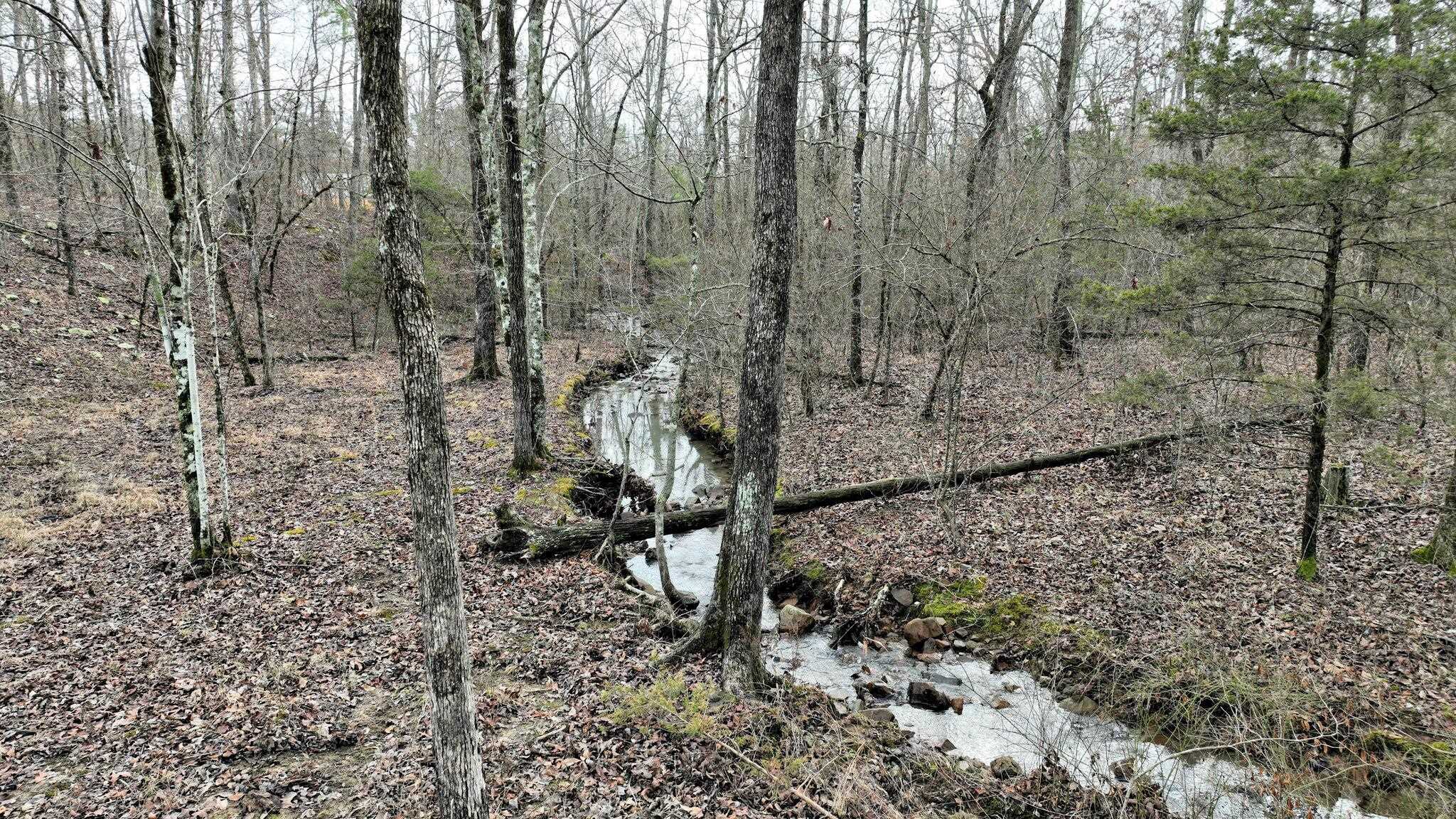 Dogwood Springs - Land