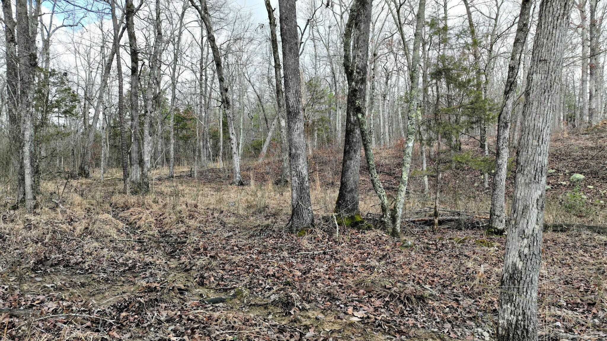 Dogwood Springs - Land