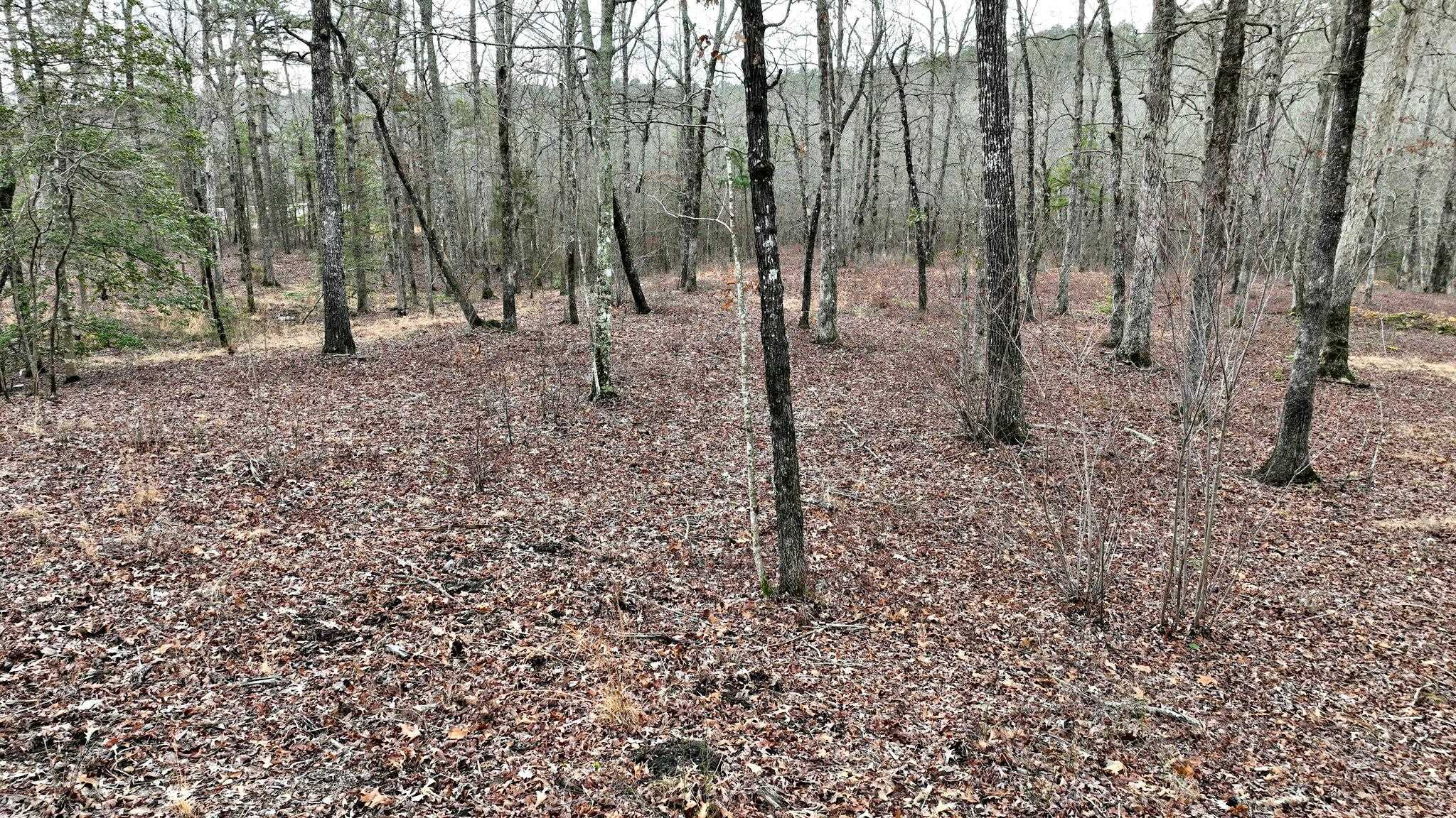 Dogwood Springs - Land