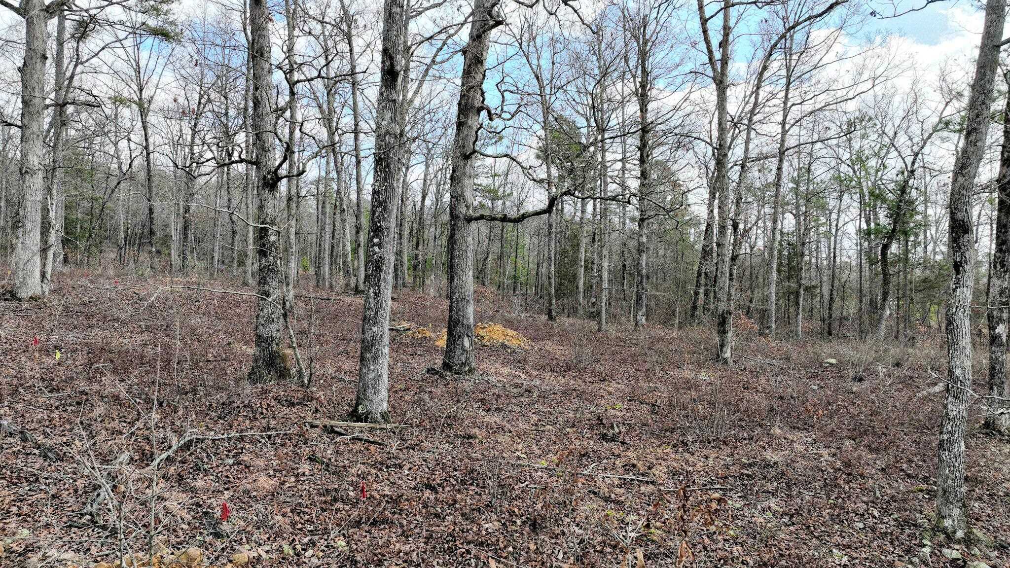 Dogwood Springs - Land