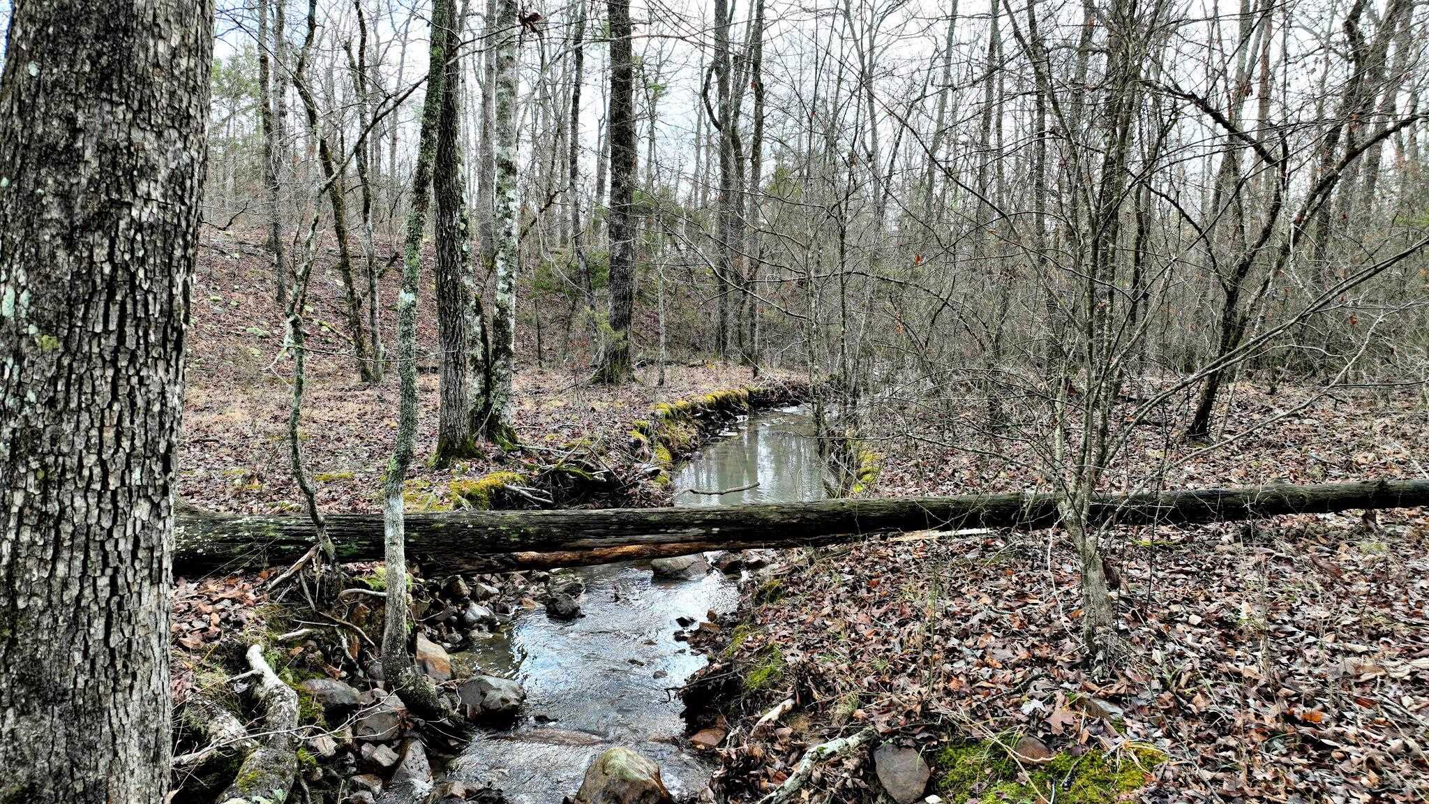 Dogwood Springs - Land