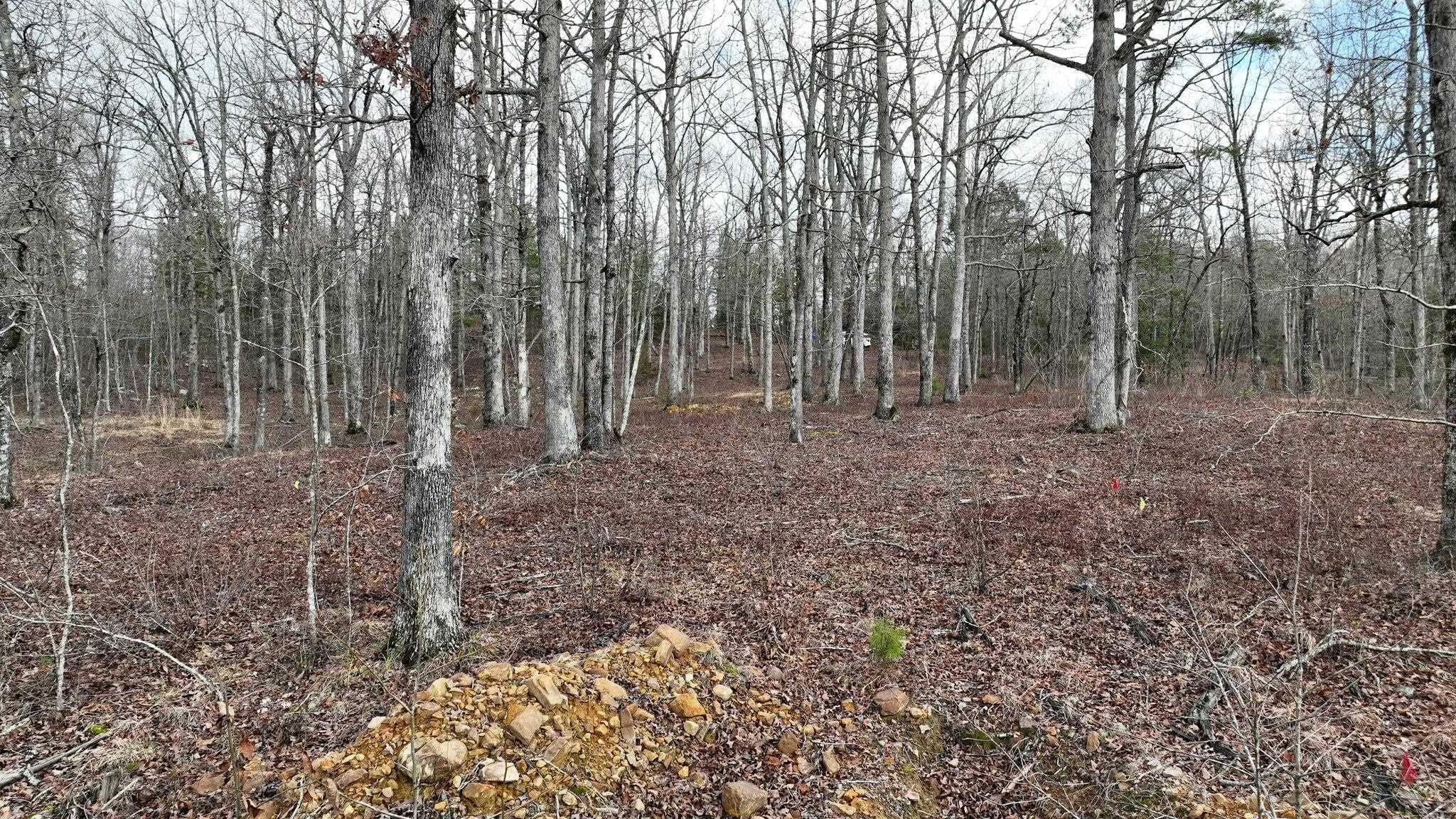 Dogwood Springs - Land