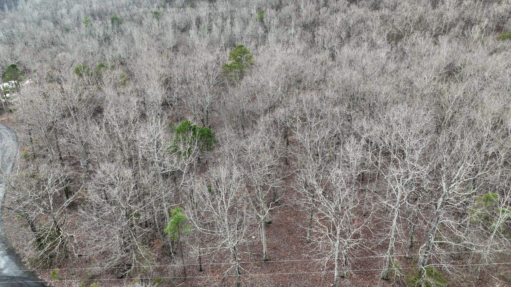 Dogwood Springs - Land