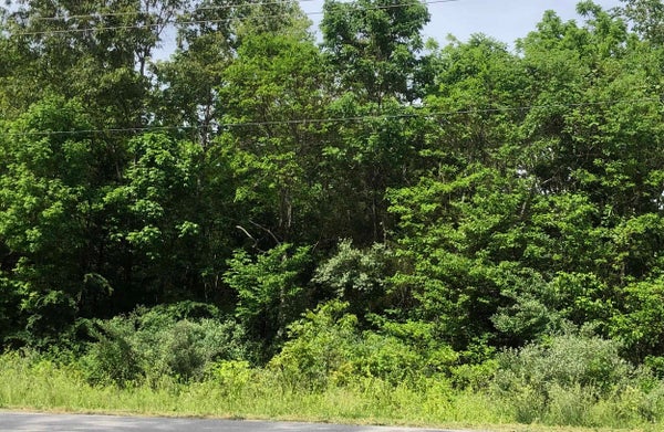 E LAKESHORE DRIVE, CHEROKEE VILLAGE, AR 72529 - Image bf0836eac5eabd87d2fe89080a649575/3372442017