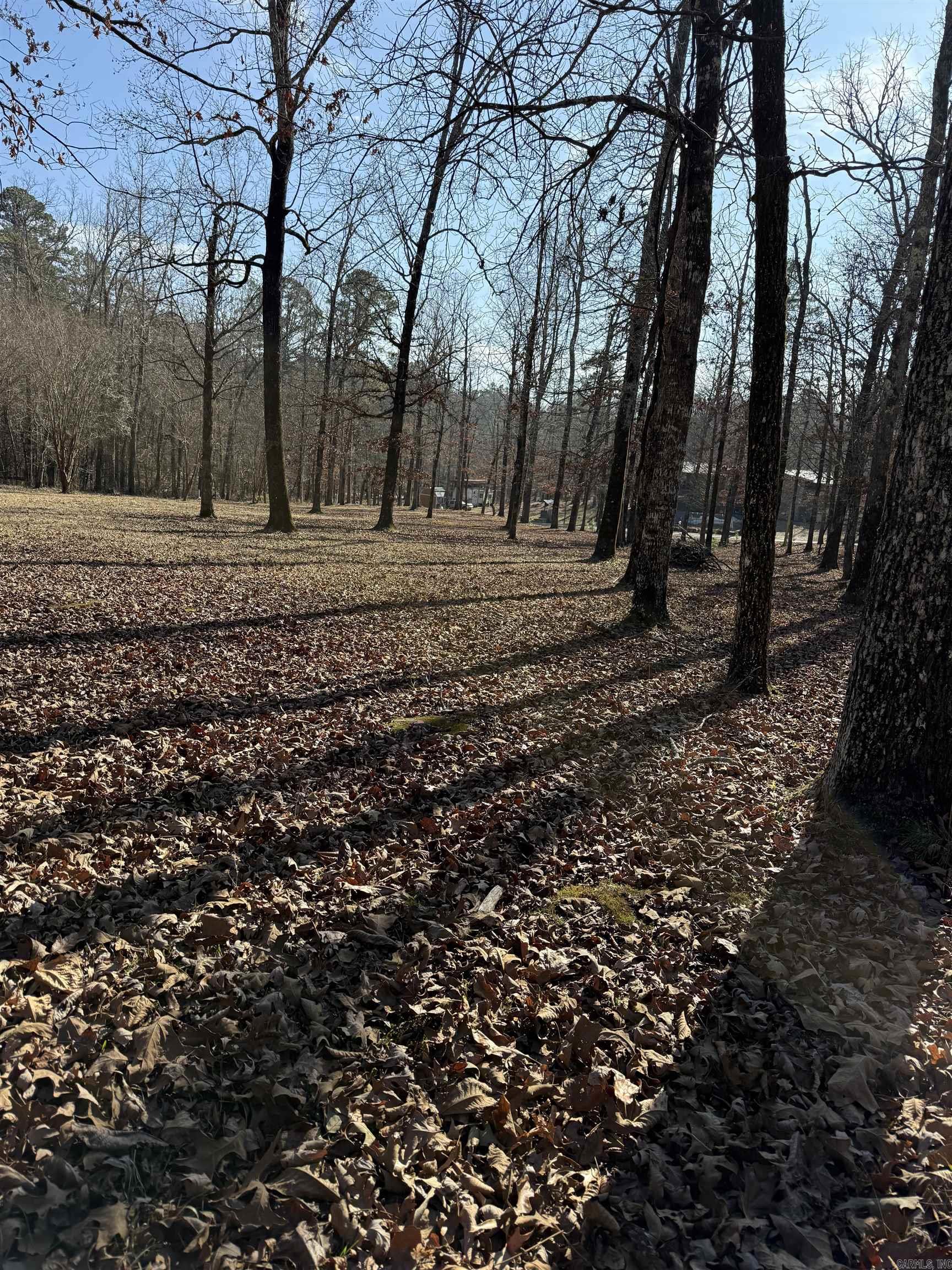 LAKE GREESON ESTATES - Residential