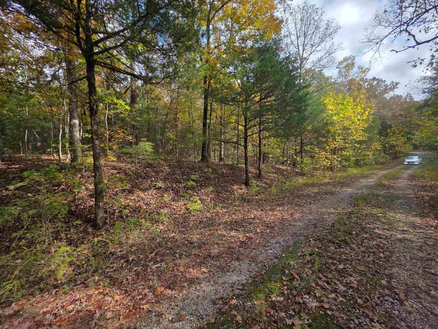2 outstanding lots side by side. Over 1/2 an acre of land to build your dream home on. Come take a look at these 2 mostly level lots with beautiful trees and nature all around. Only one close neighbor if you don't count the wildlife. Trees like the Sycamores, Cedars and Oaks make for a wonderful wildlife retreat. Come pick your spot to build your forever home, your vacation get-away or weekend retreat. Ownership of this property gives you access to all the amenities that Cherokee Village has to offer. Such as the Two 18-Hole golf courses to hone your game, 7 Lakes to fish and boat on and the beautiful Southfork river to fish, float or kayak. Come see how living the slow life of the Ozark Foothills can make your world better.