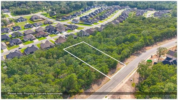 1093 FERN RIDGE RD LOT 16, SHERWOOD, AR 72120 - Image bf2324af34ea7301d8fb7f0dfe2432cf/3052886572