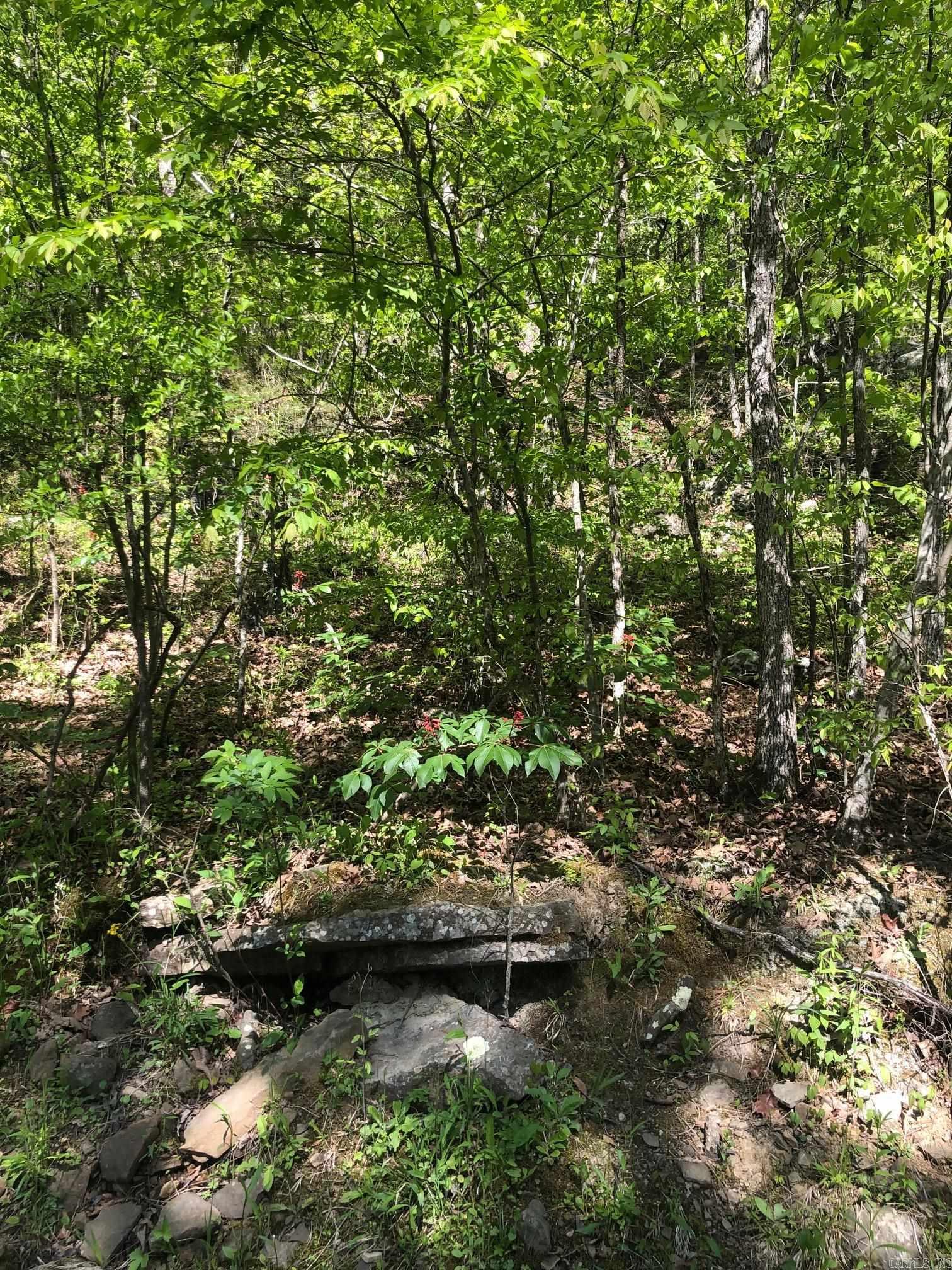 Big Boulder Canyon - Land