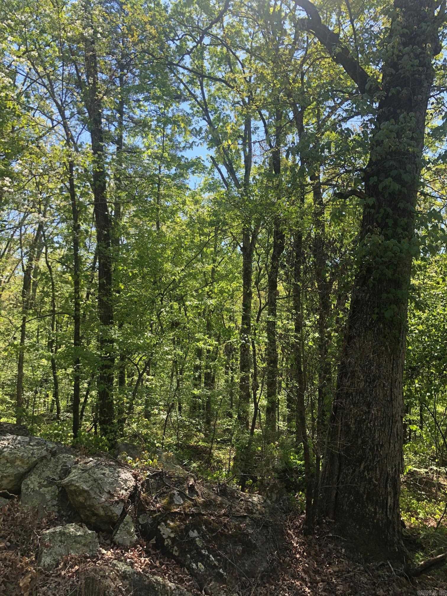 Big Boulder Canyon - Land