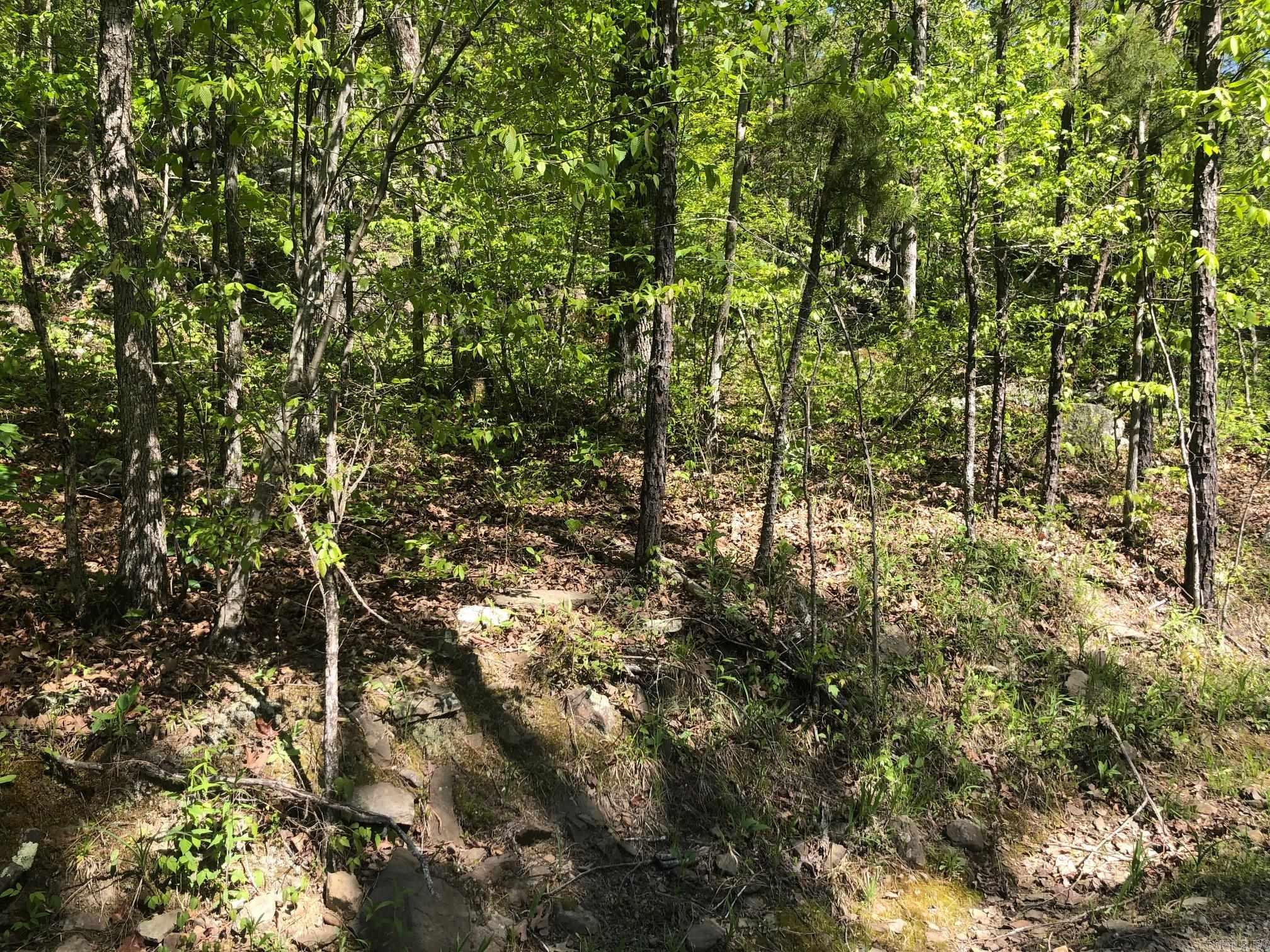 Big Boulder Canyon - Land