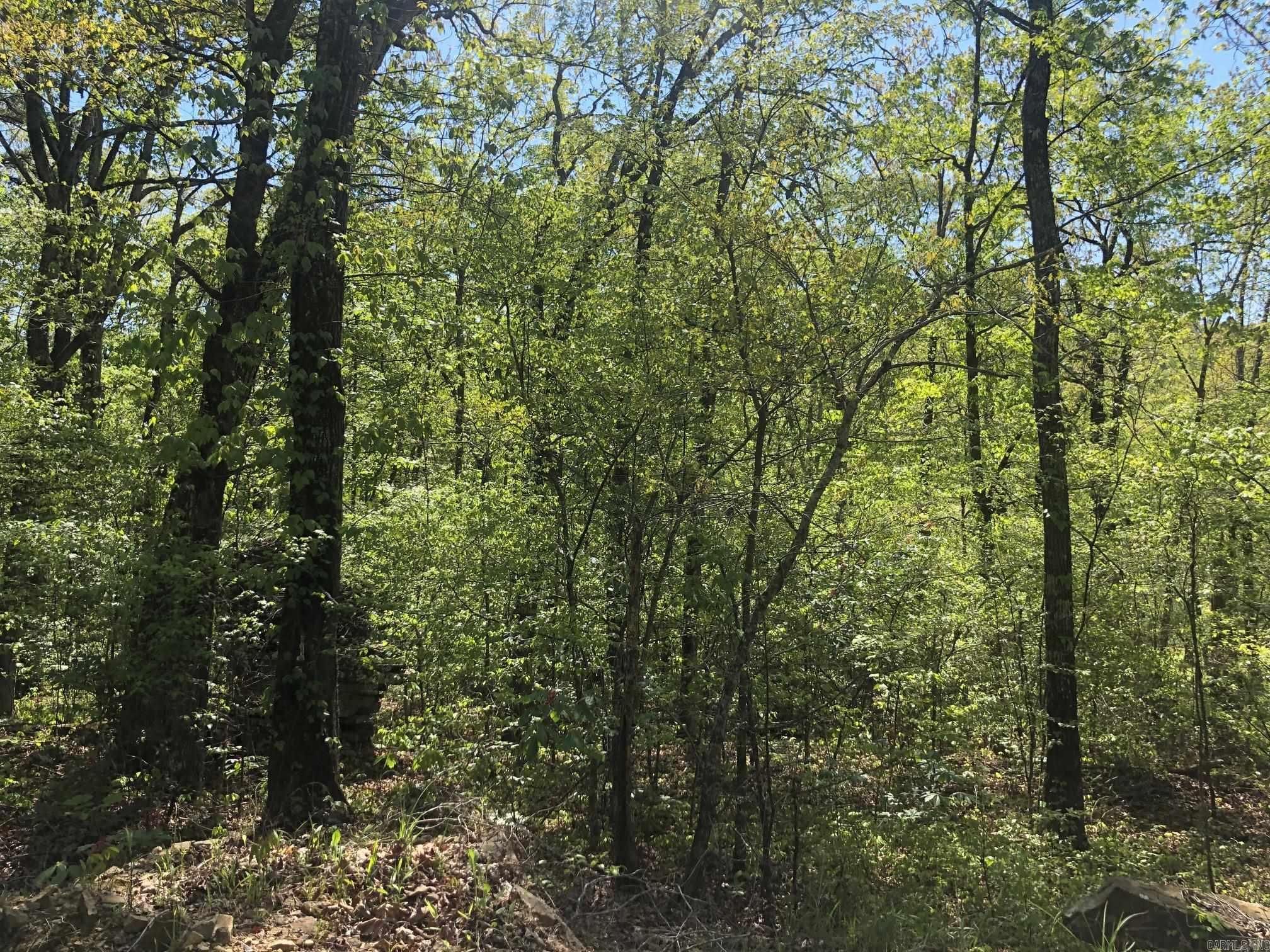 Big Boulder Canyon - Land