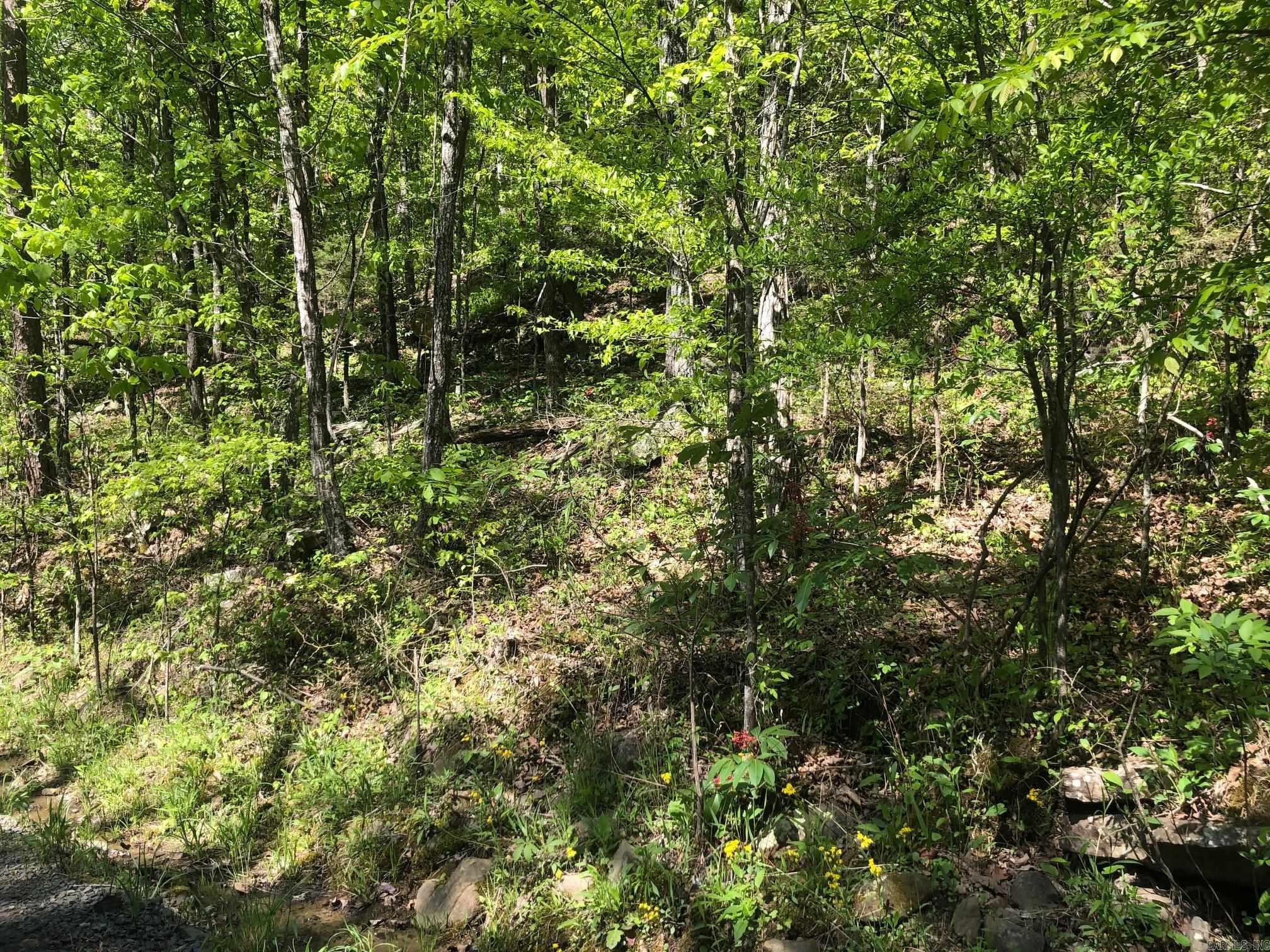 Big Boulder Canyon - Land