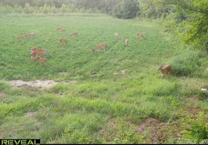 Not in Subdivision - Land