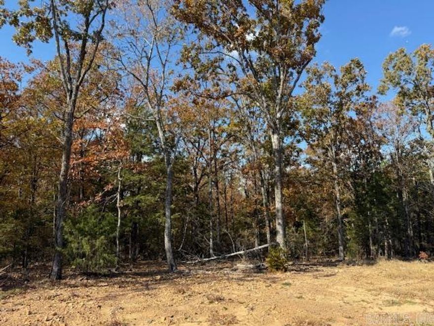 Wooded lot perfect for building your home or building a home to sale.  You could leave trees at the back of the lot for privacy.  All utilities are on the property. 1450 sq. ft. minimum